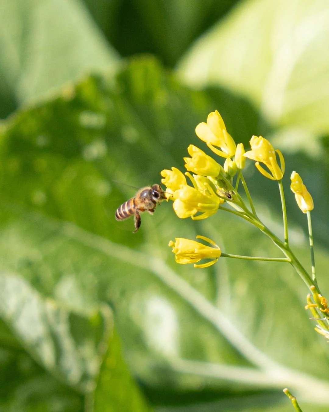 ZFPA IG Posts IV - Portrait  (3).jpg