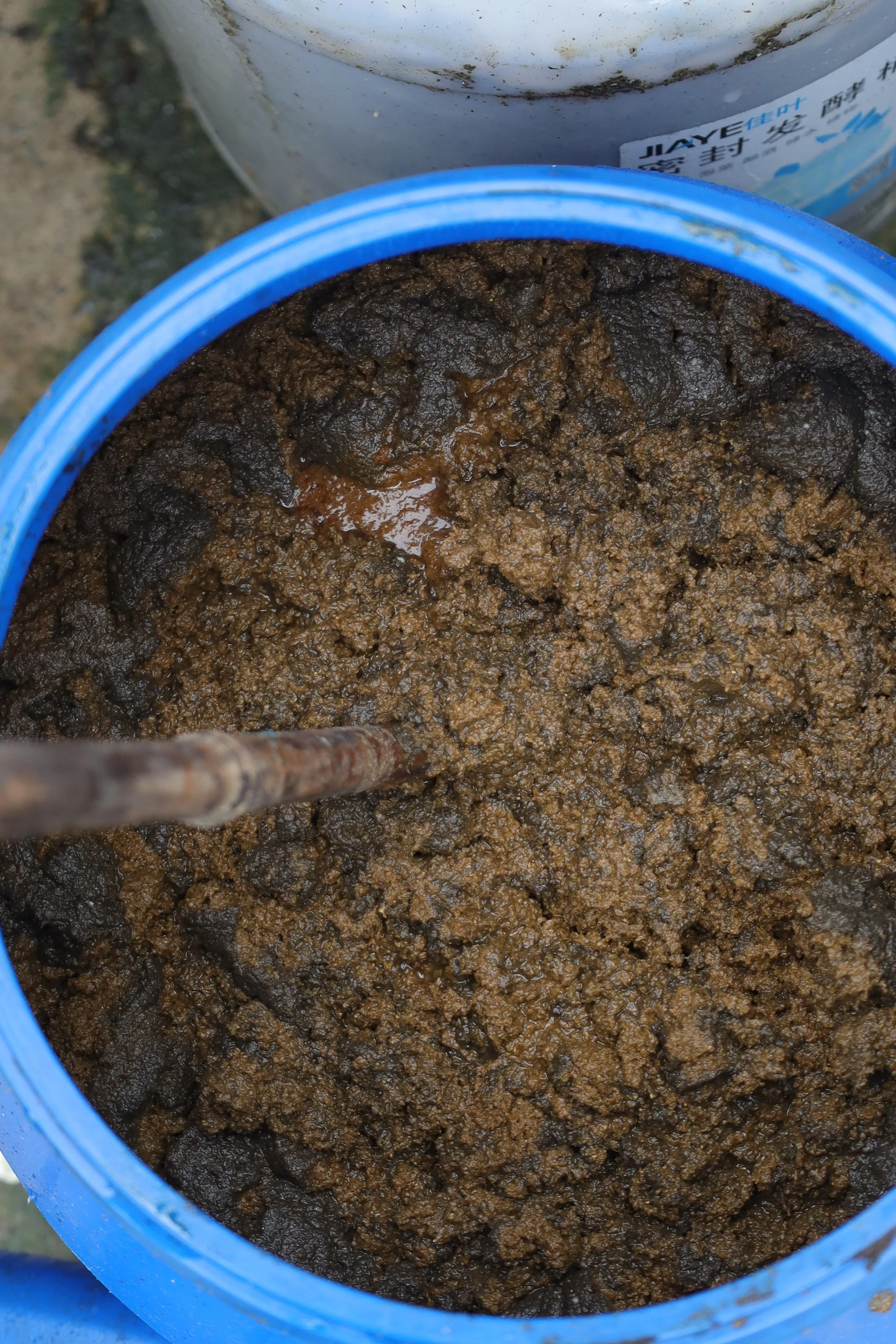 brown bio-active plant nutrient ferments in blue bucket