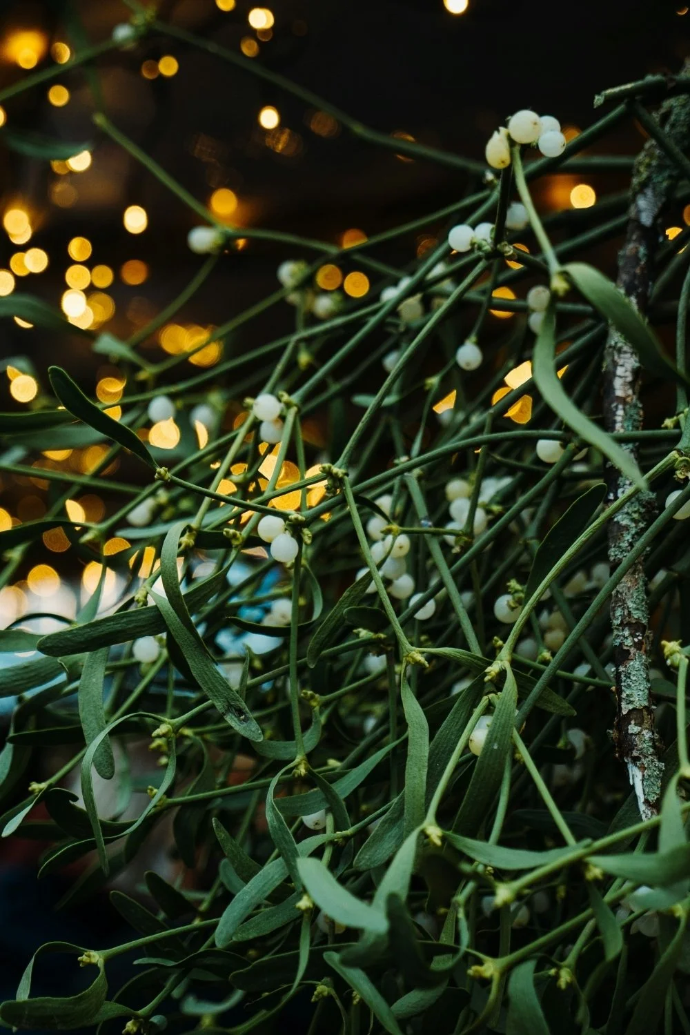 White-berried mistletoe branches glowing in soft lights, evoking Frigg’s lore for a handmade scented mythology candle with a clean-burning wooden wick.