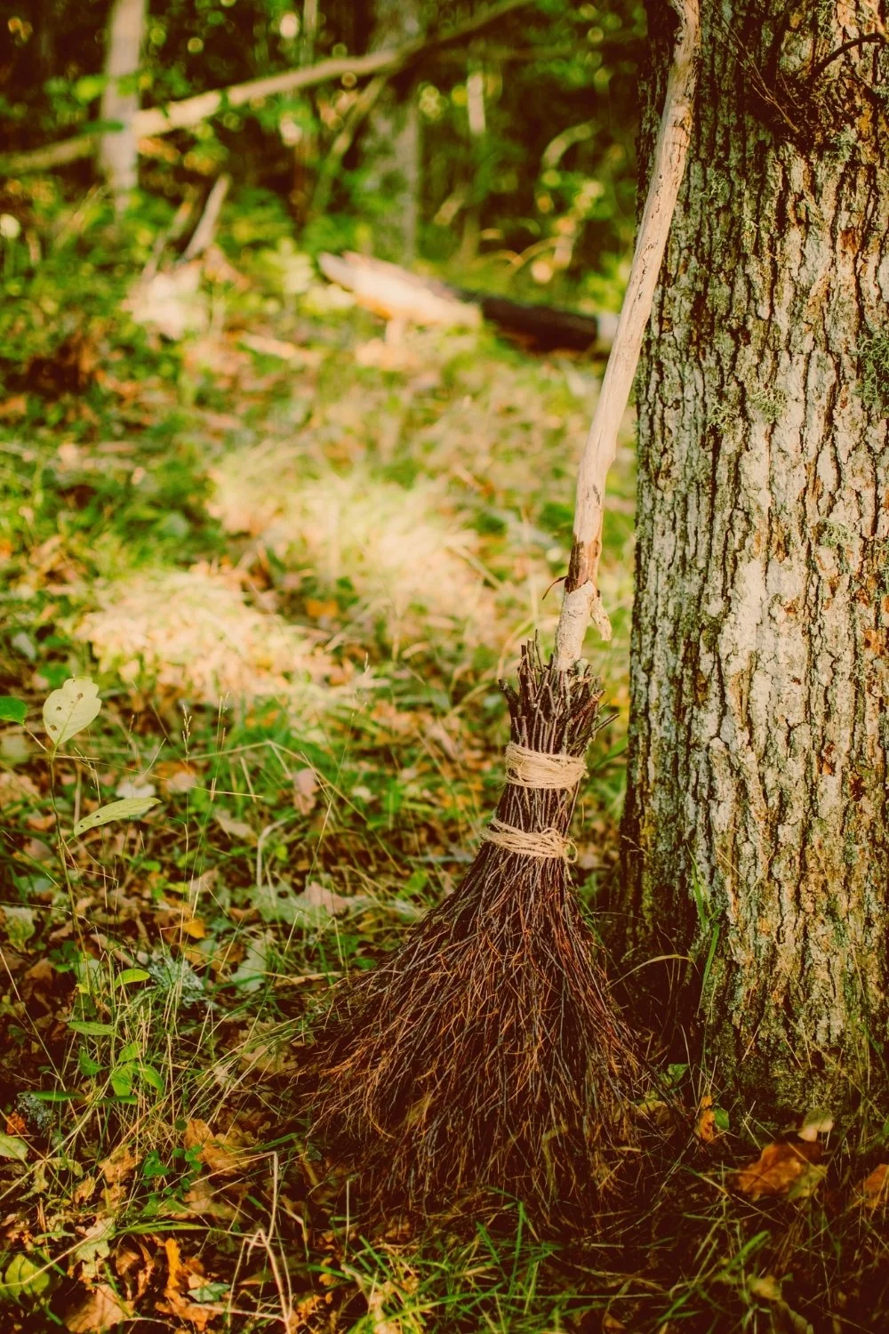 A rustic broom resting against a tree in a dim woodland clearing, evoking themes of thresholds and the unseen—fitting imagery for a Hel-inspired handmade candle with a natural wooden wick.