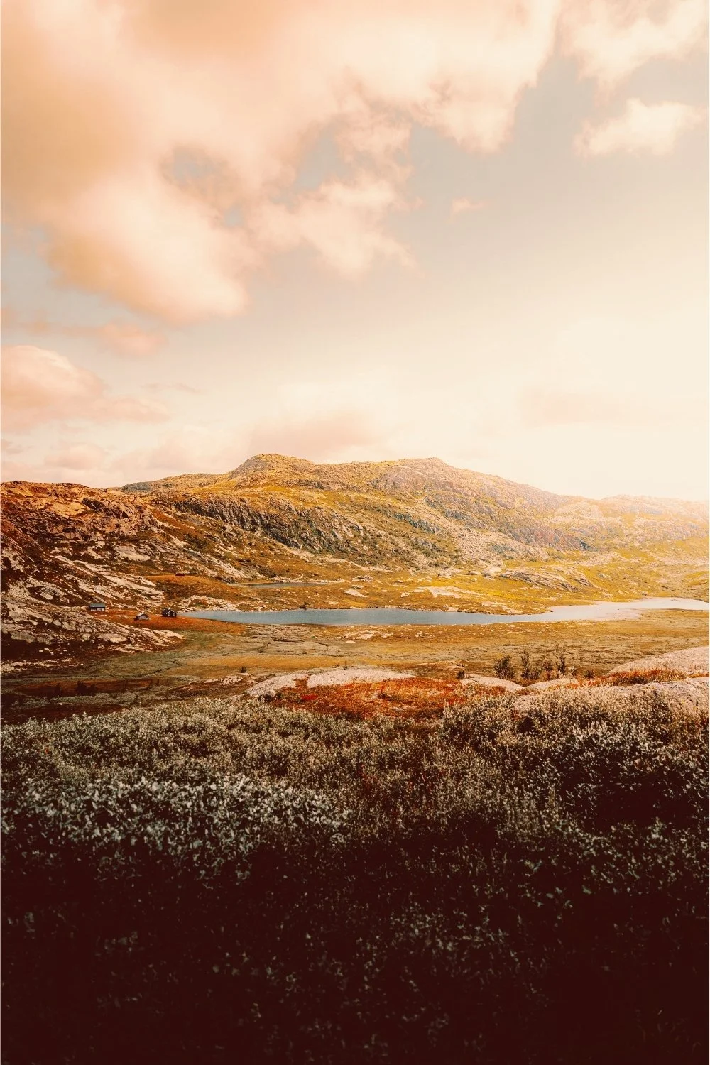 Golden Nordic landscape tied to Frigg’s hearthside presence, perfect for a handmade scented mythology candle with a clean-burning wooden wick.