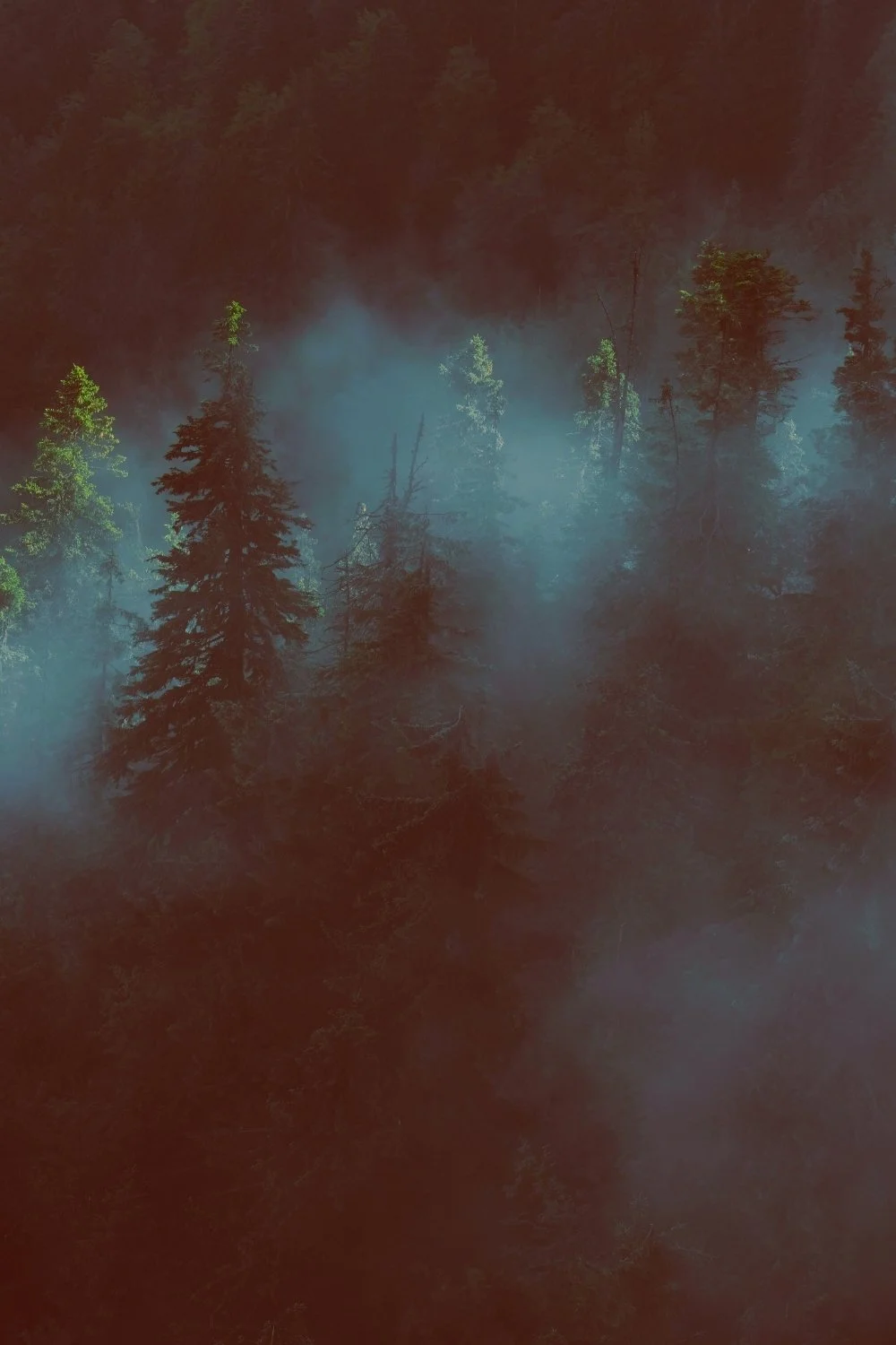 Misty forest with dark pines and blue fog, evoking the quiet realm of Hel for a Norse-mythology wooden-wick candle.