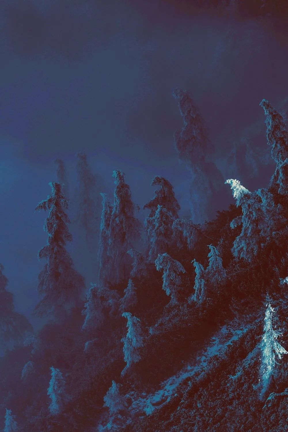 Dark frozen forest with frost-laden trees, echoing Skadi’s deep winter landscapes for a handmade scented candle with a clean-burning wooden wick.