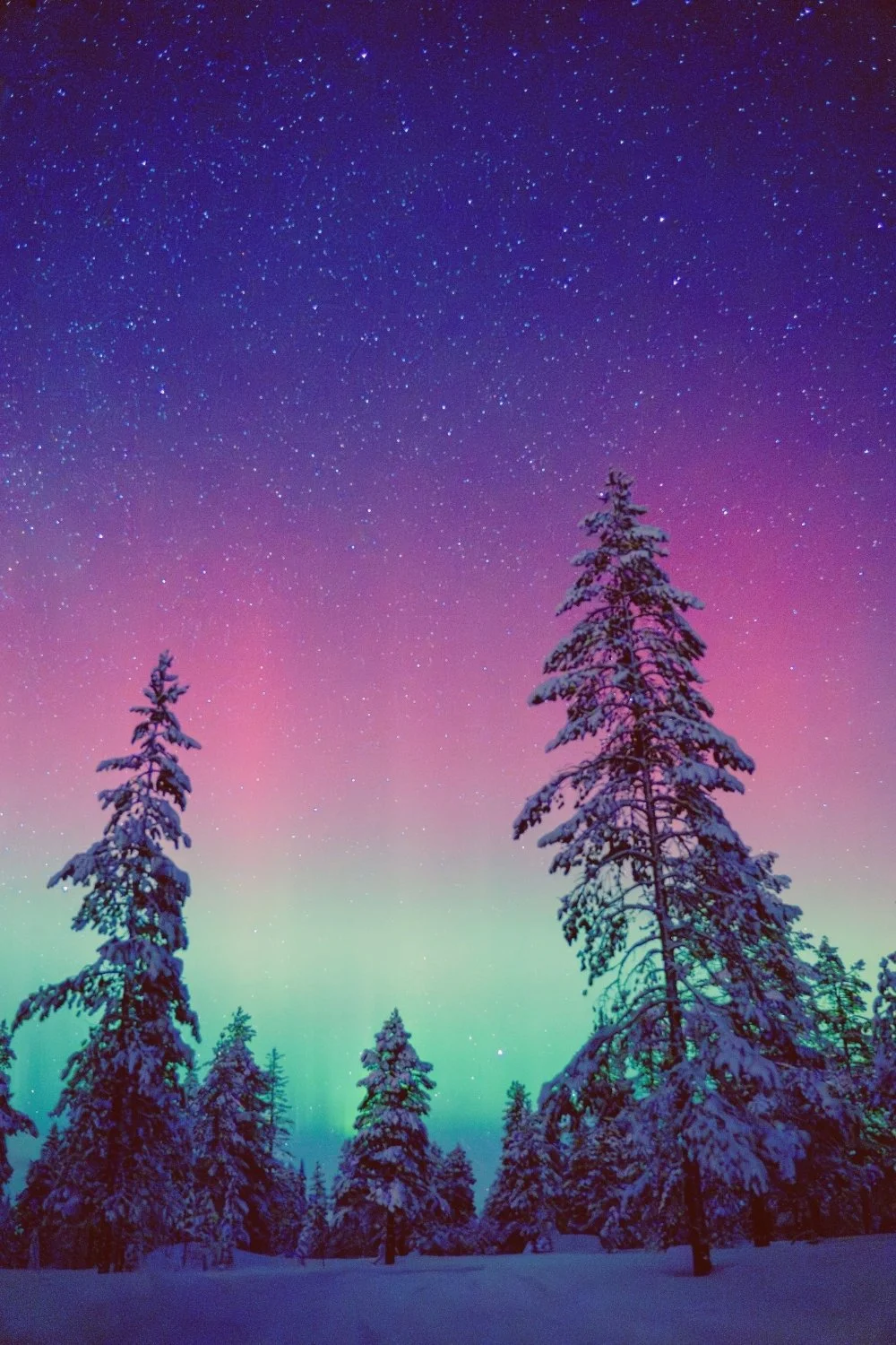 Starlit arctic sky with aurora in pink and green, suggesting the Valkyries’ ride across the heavens, ideal for a handmade scented mythology candle featuring a clean-burning wooden wick.