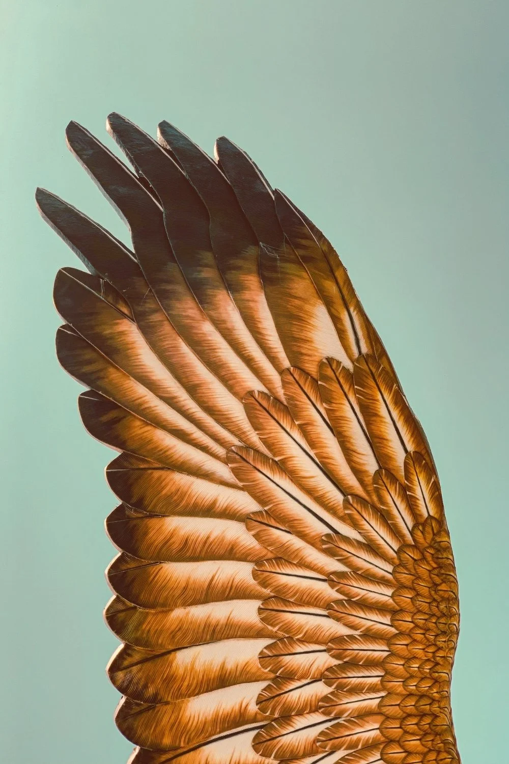 Falcon feathers recalling Freyja’s feather-cloak of flight, perfect for a handmade scented mythology candle with a clean-burning wooden wick.