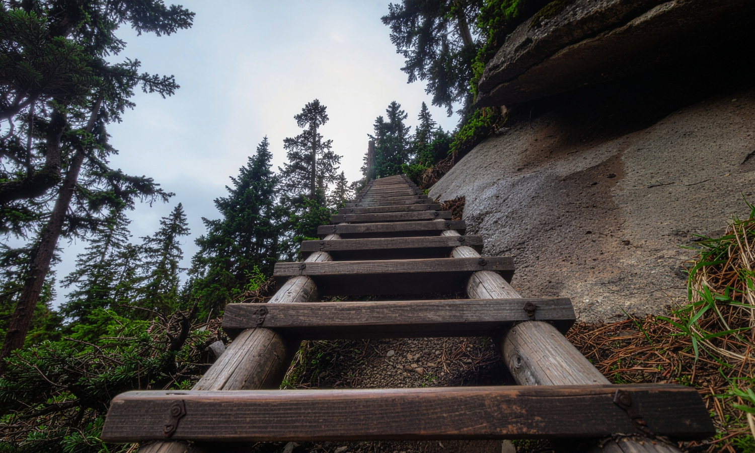 Thinking About Selling Your Business? Start Years Before You Want to Sell&nbsp;