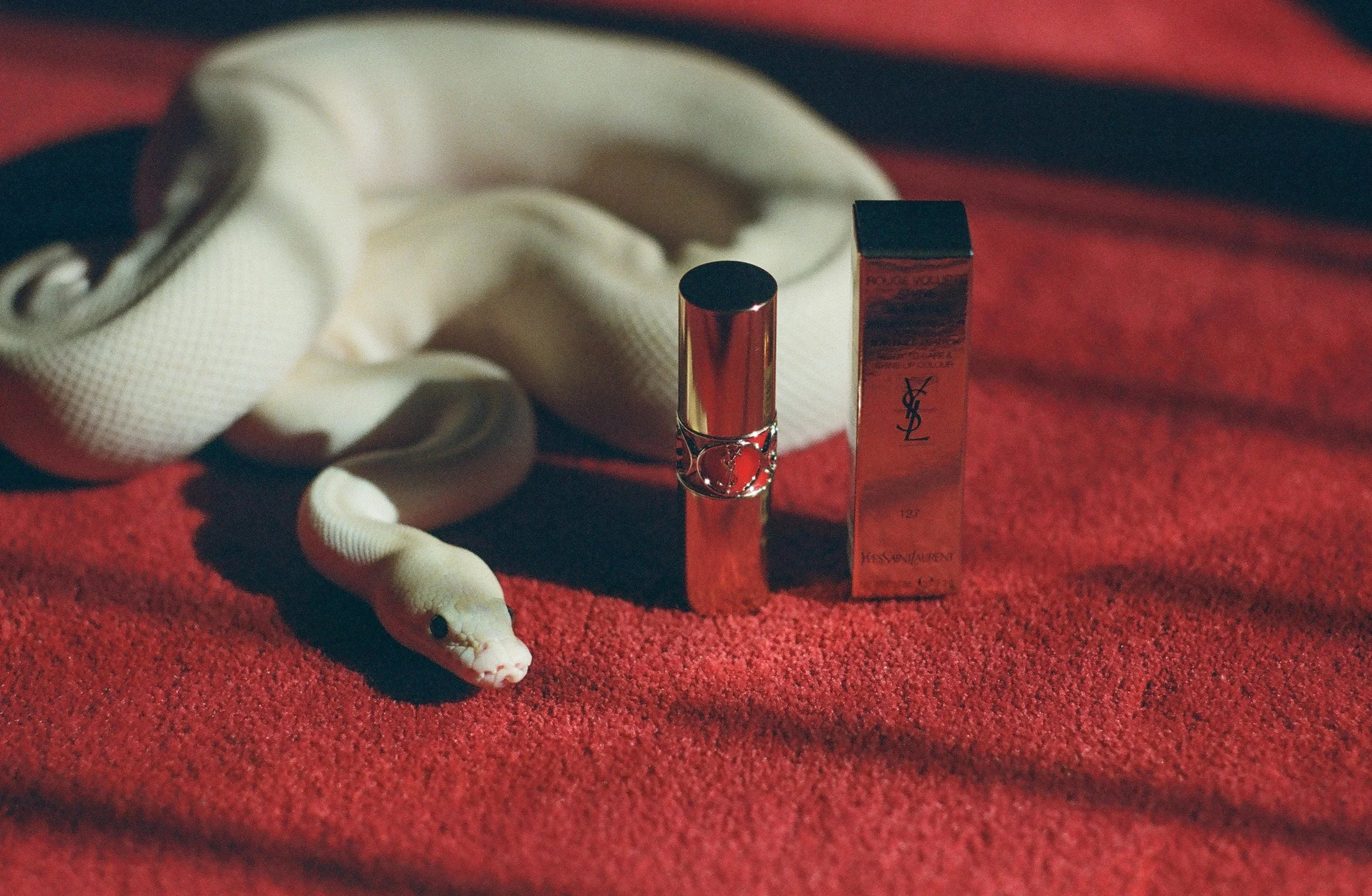 YSL STUDIO-6.jpg