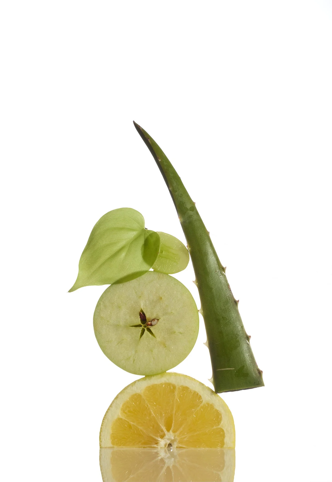 FRUITS_0398_WR.jpg
