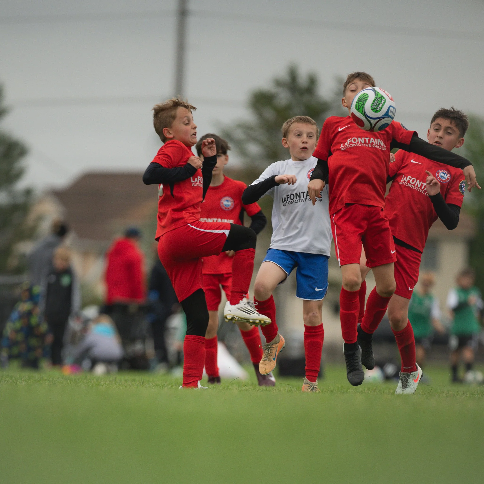SOC_2010.jpg