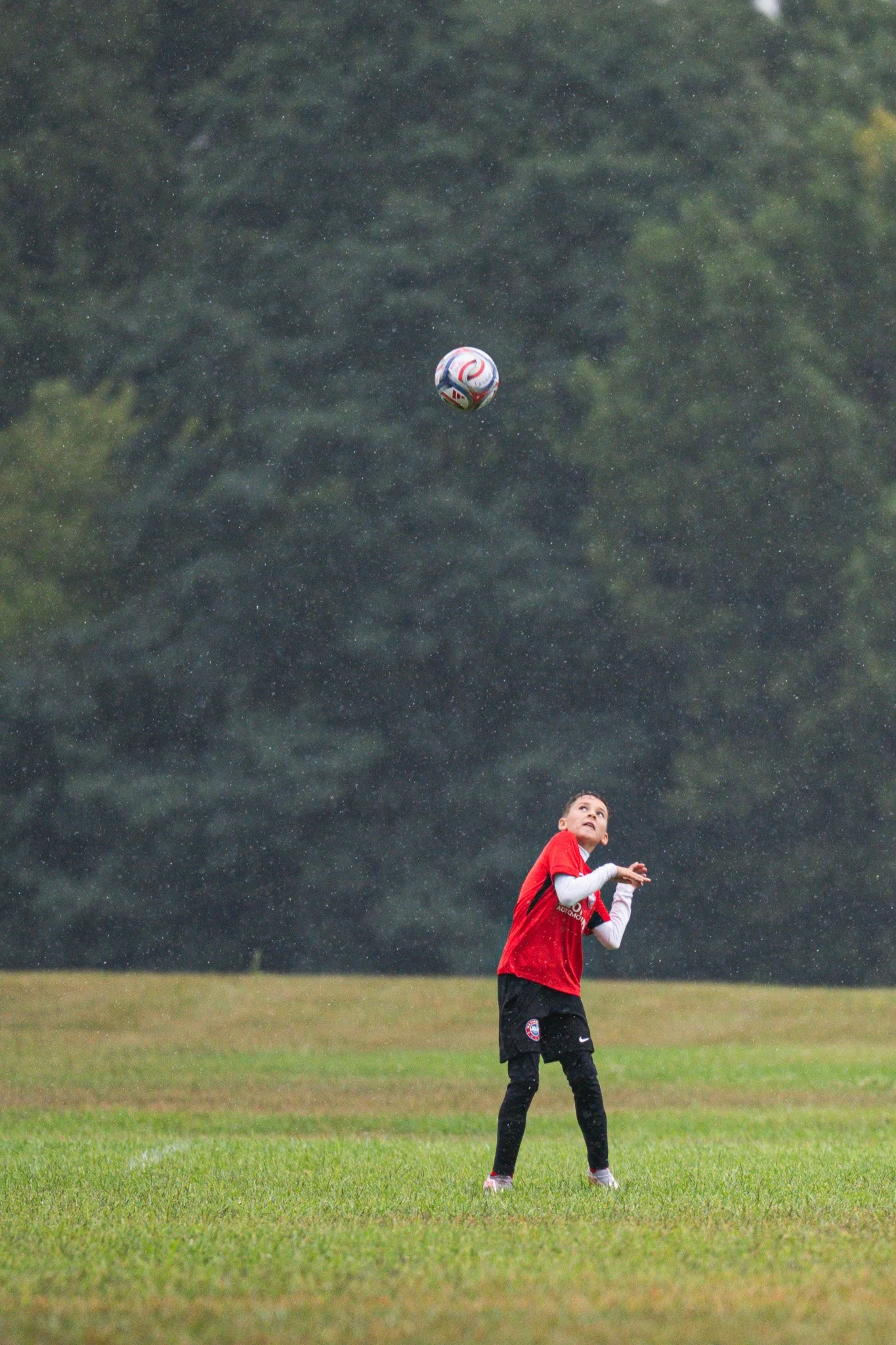Z63_2570.jpg