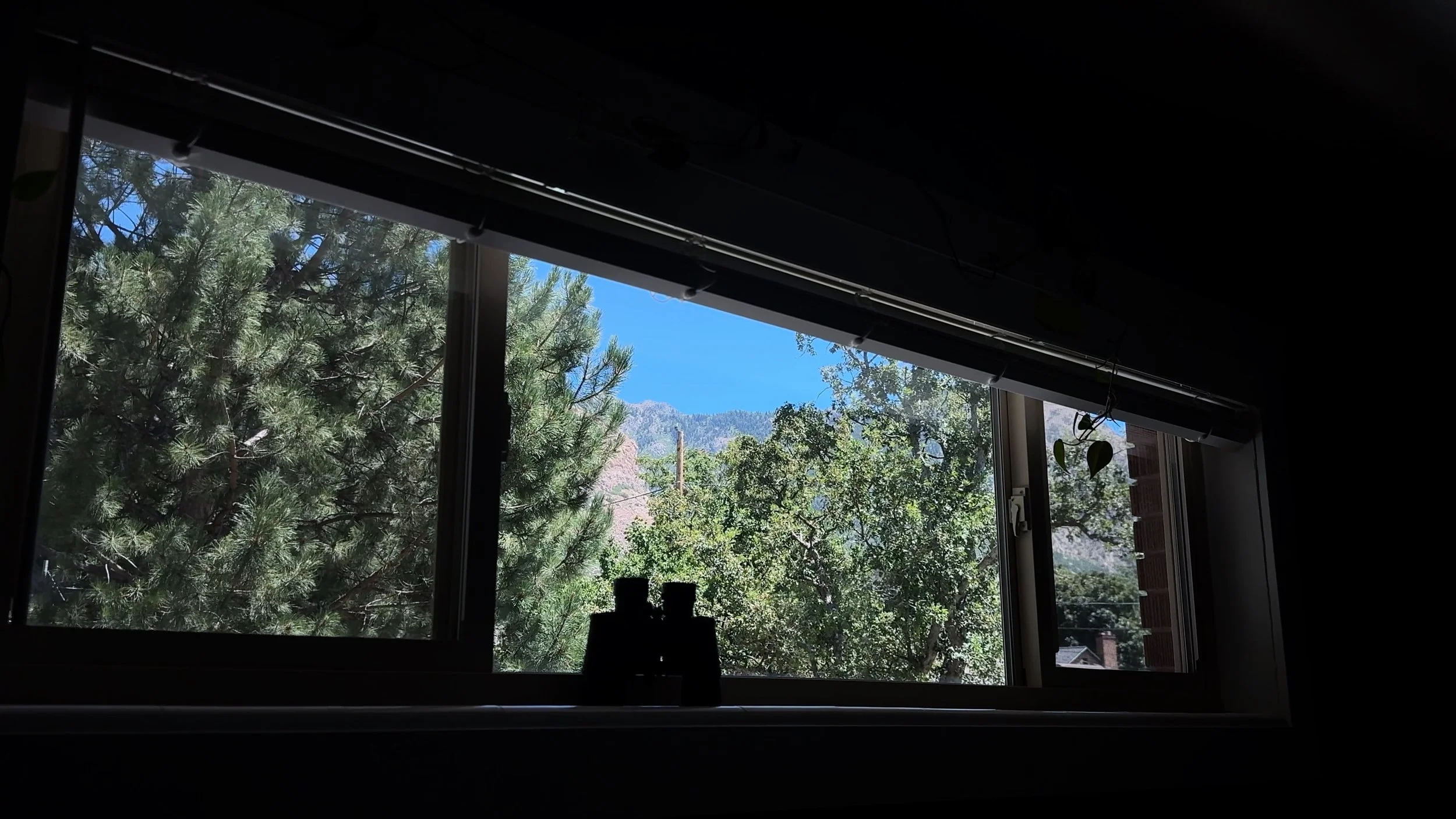 morning light through the window overlooking the trees and mountains