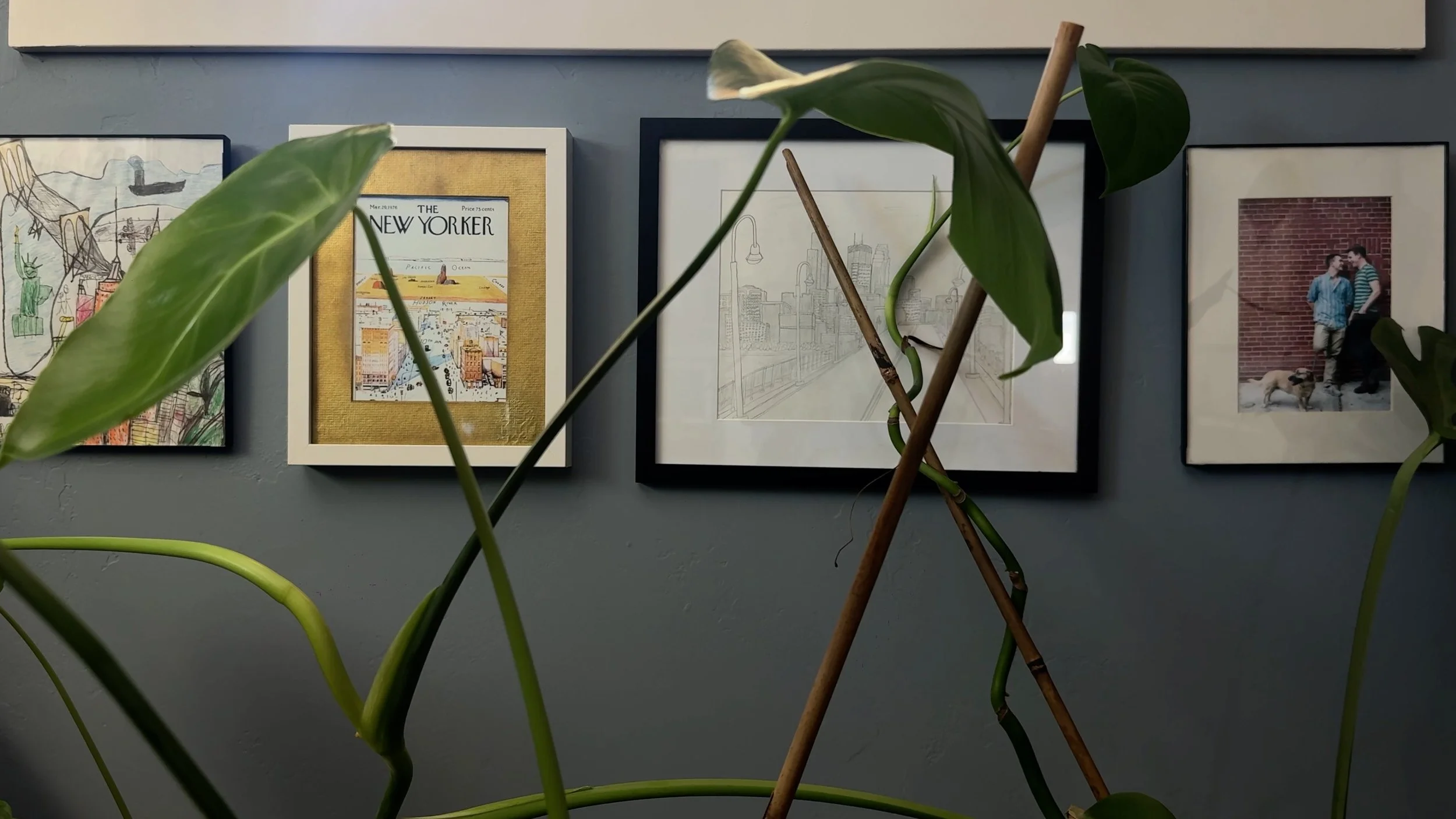 houseplants growing in front of a wall of framed artwork