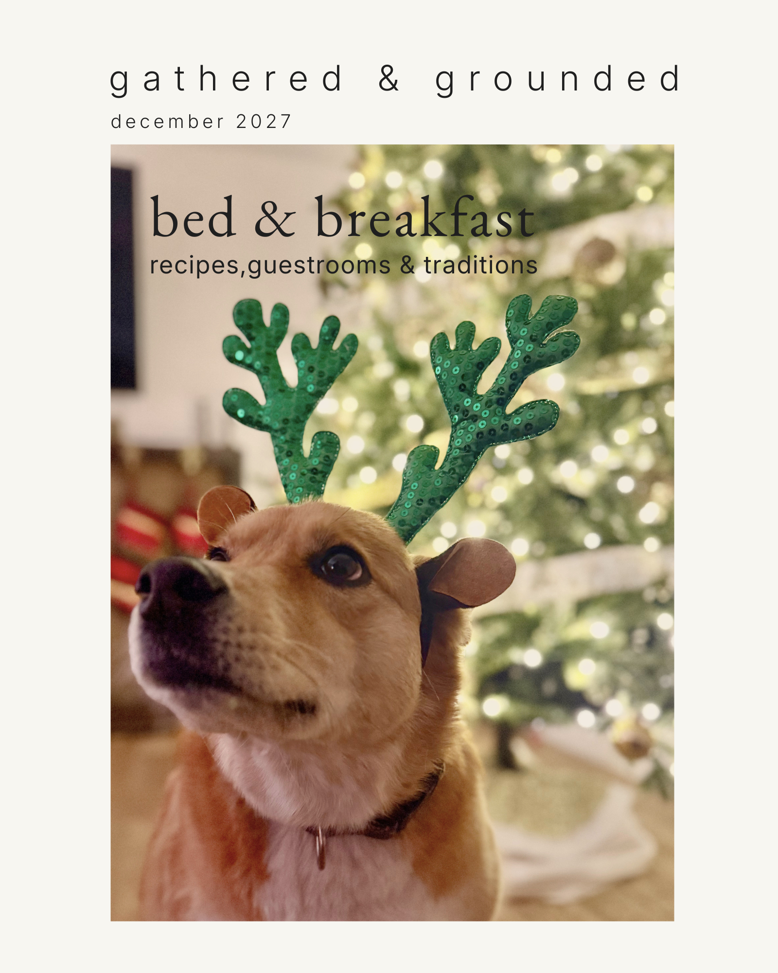 holiday-themed gathered & grounded bed & breakfast issue cover featuring a dog among festive garden greenery