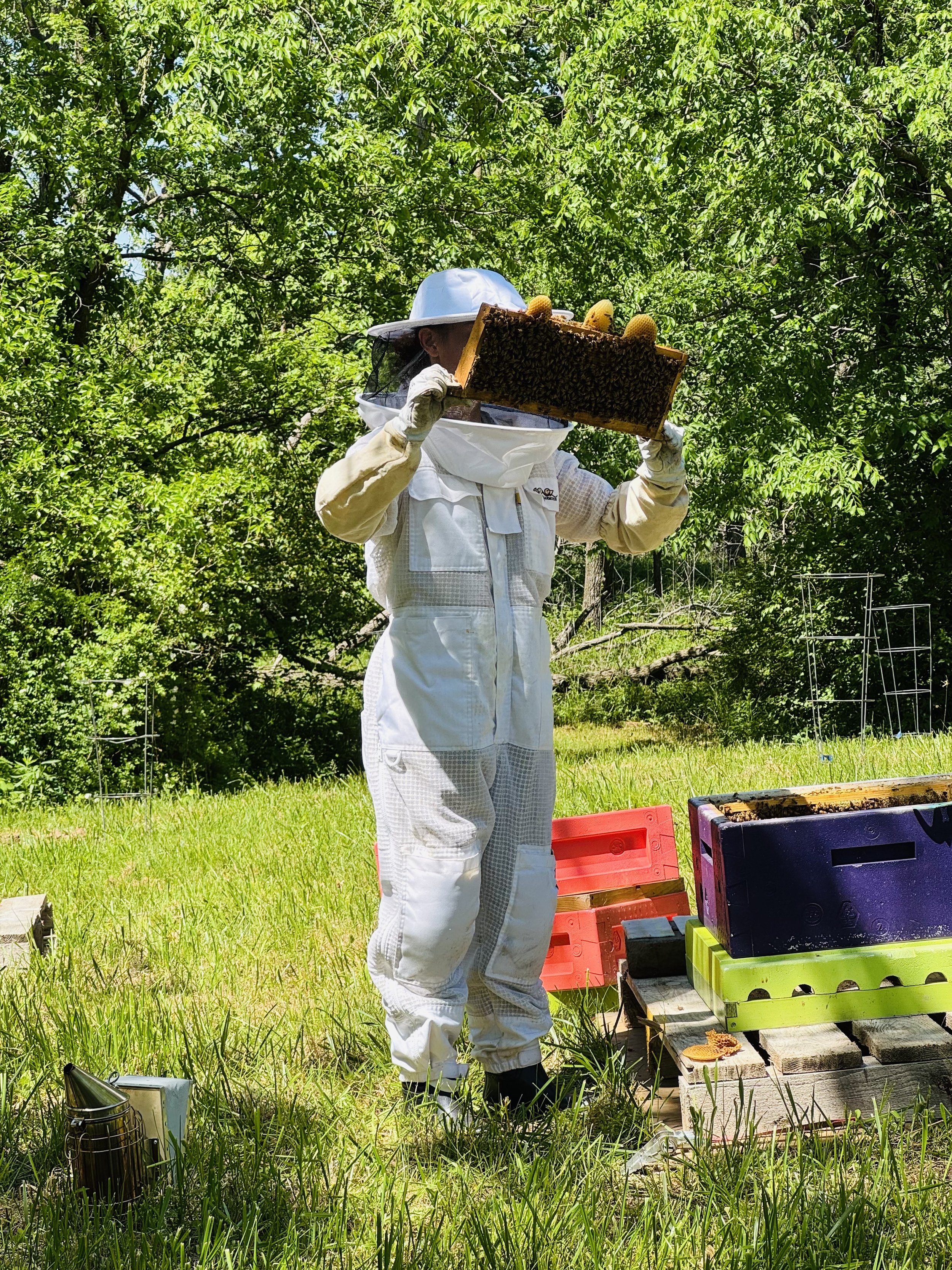 Beekeeper.jpeg