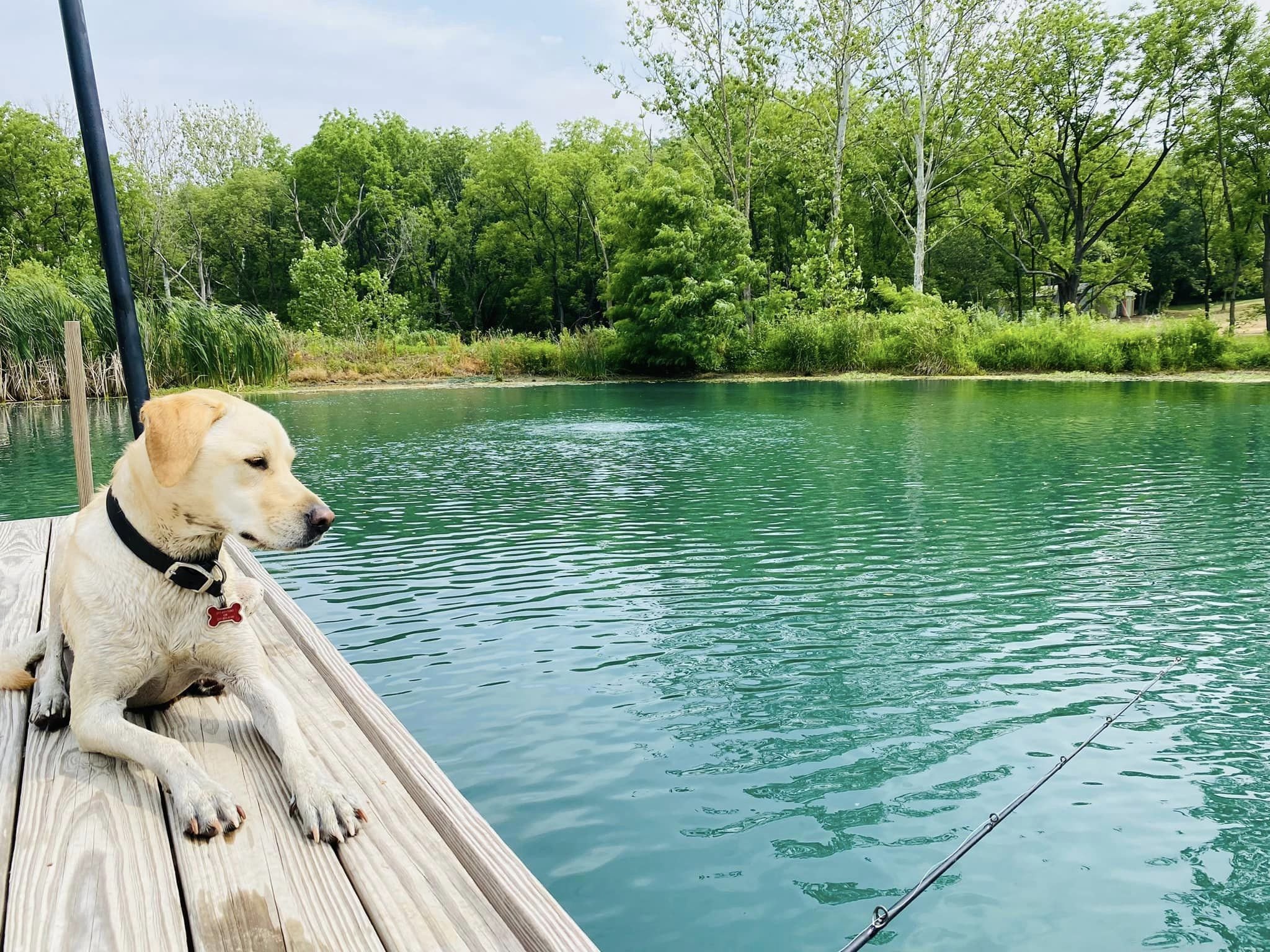 Fishing with Dog on Dock.jpg
