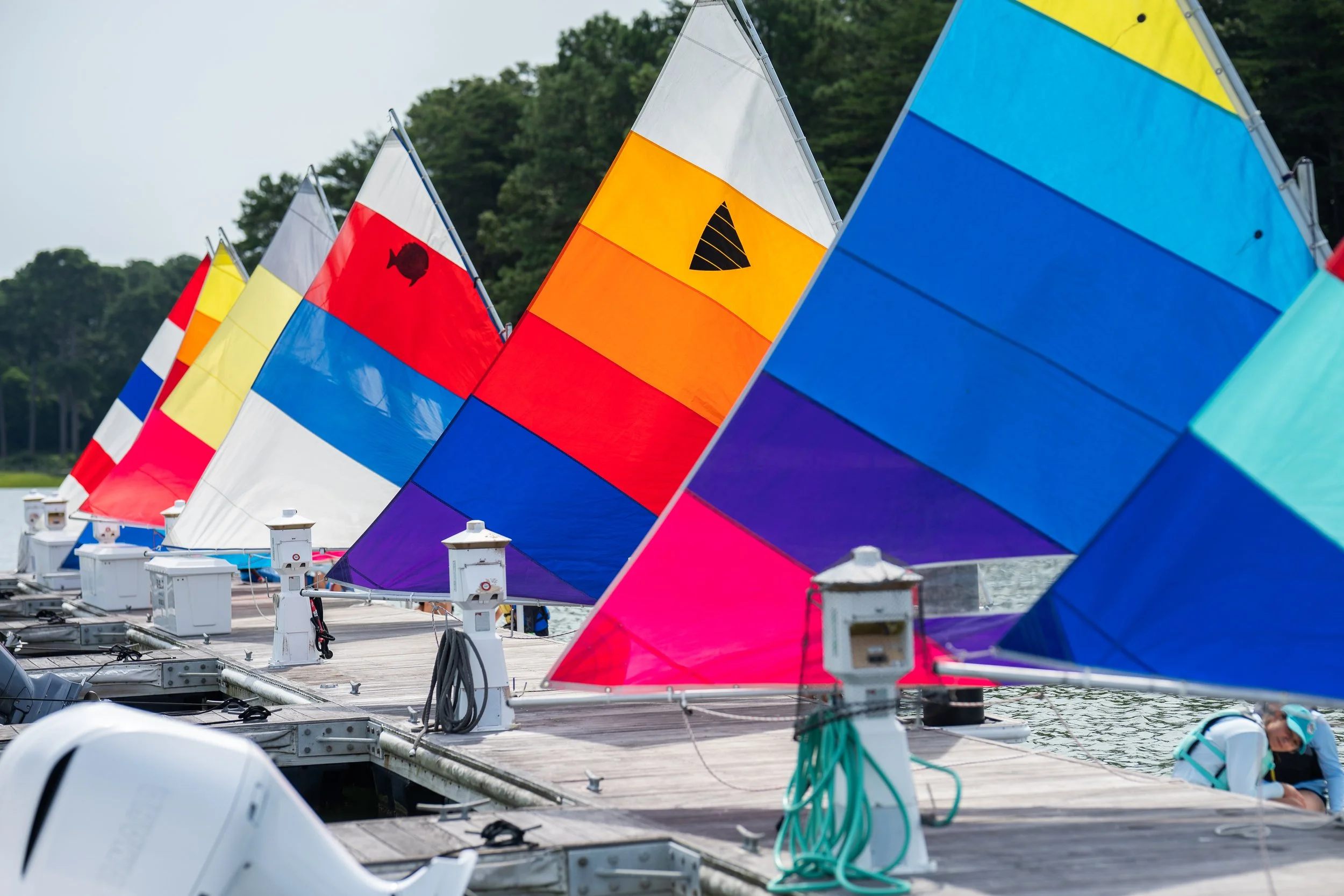 regatta 2026-1.jpg