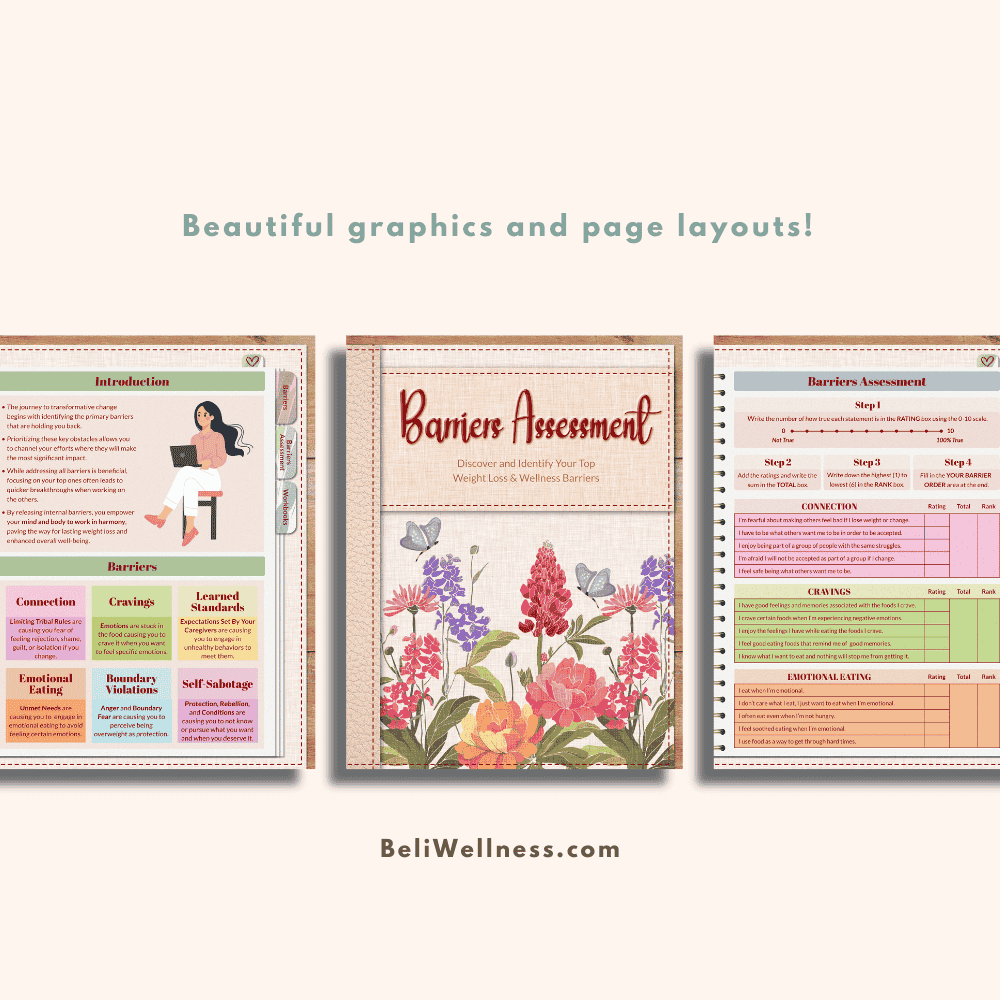 Barriers Assessment- Graphics Small-NEW.png