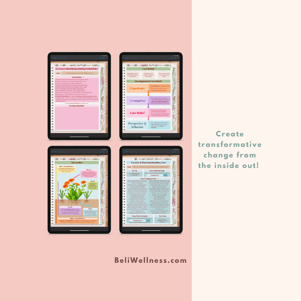 Bloom+ Support 6- Transformative Small.png