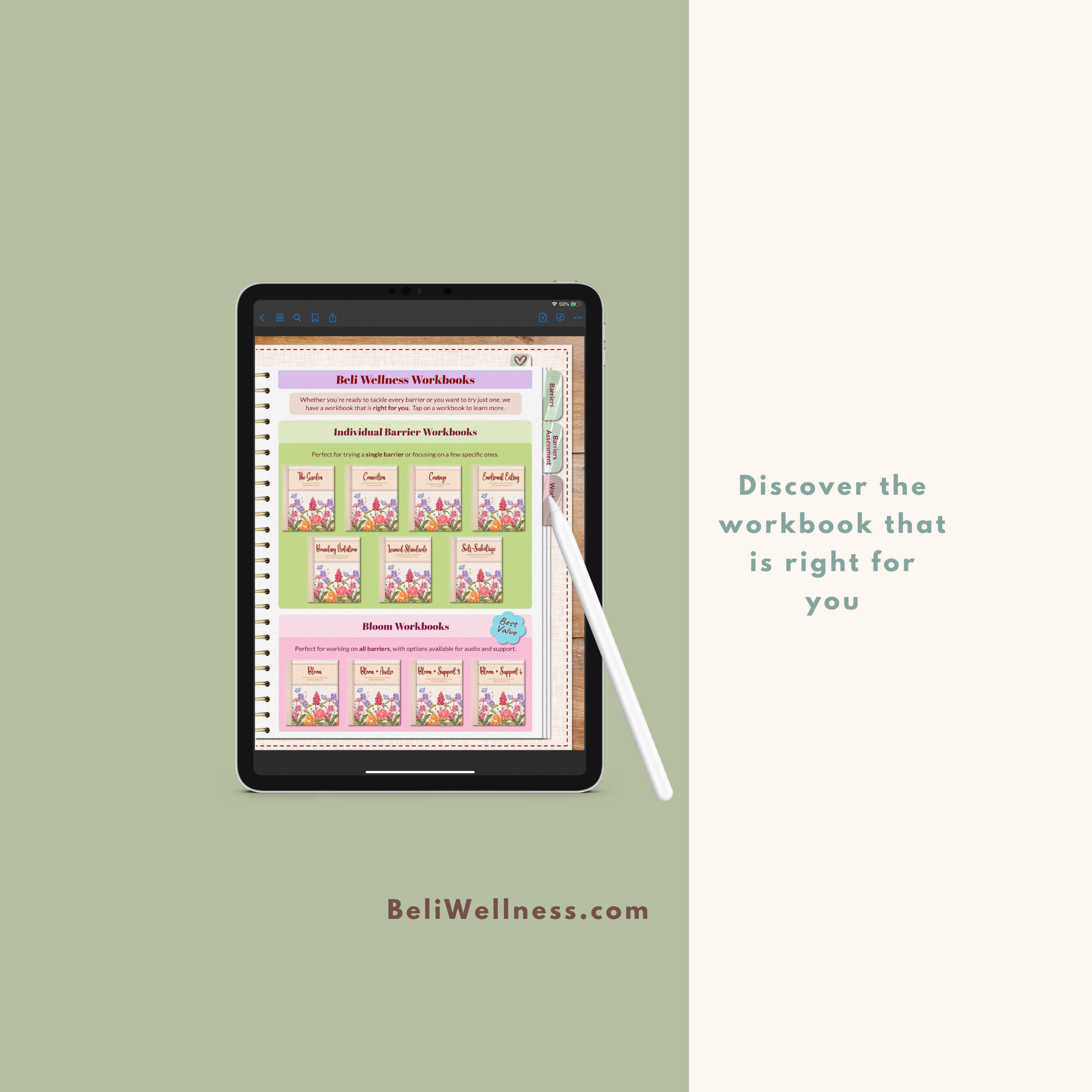 Barriers Assessment- Workbook Small.png