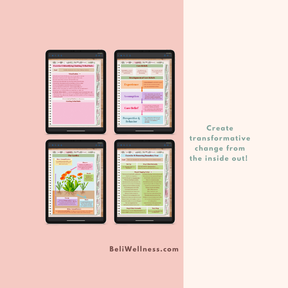 Bloom + Audio- Transformative Small.png