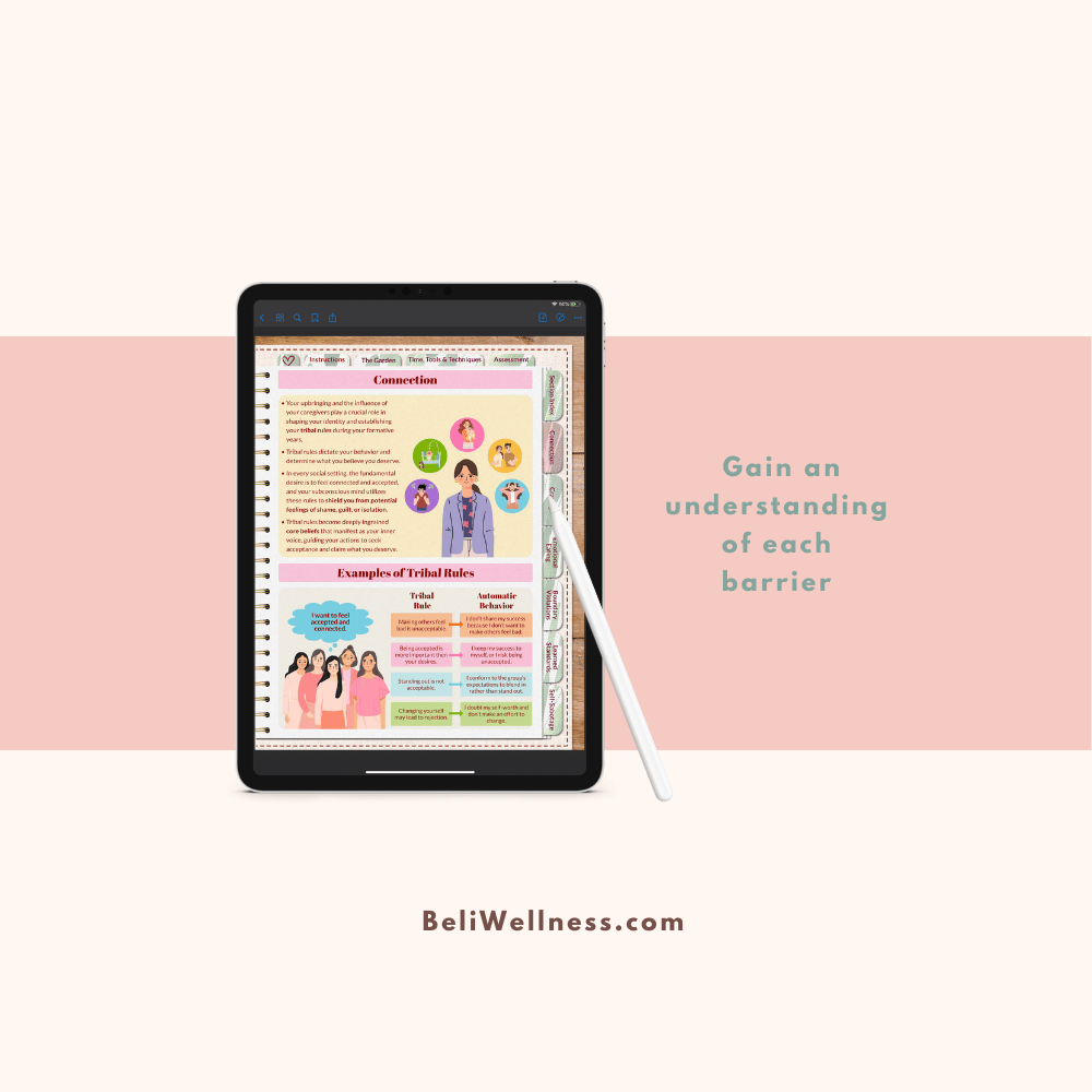 Bloom+ Support 6- Barriers Small.png