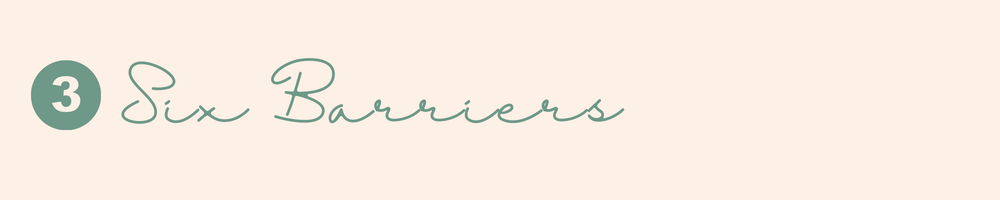 Green text reads 3 Six Barriers in cursive on a light beige background.