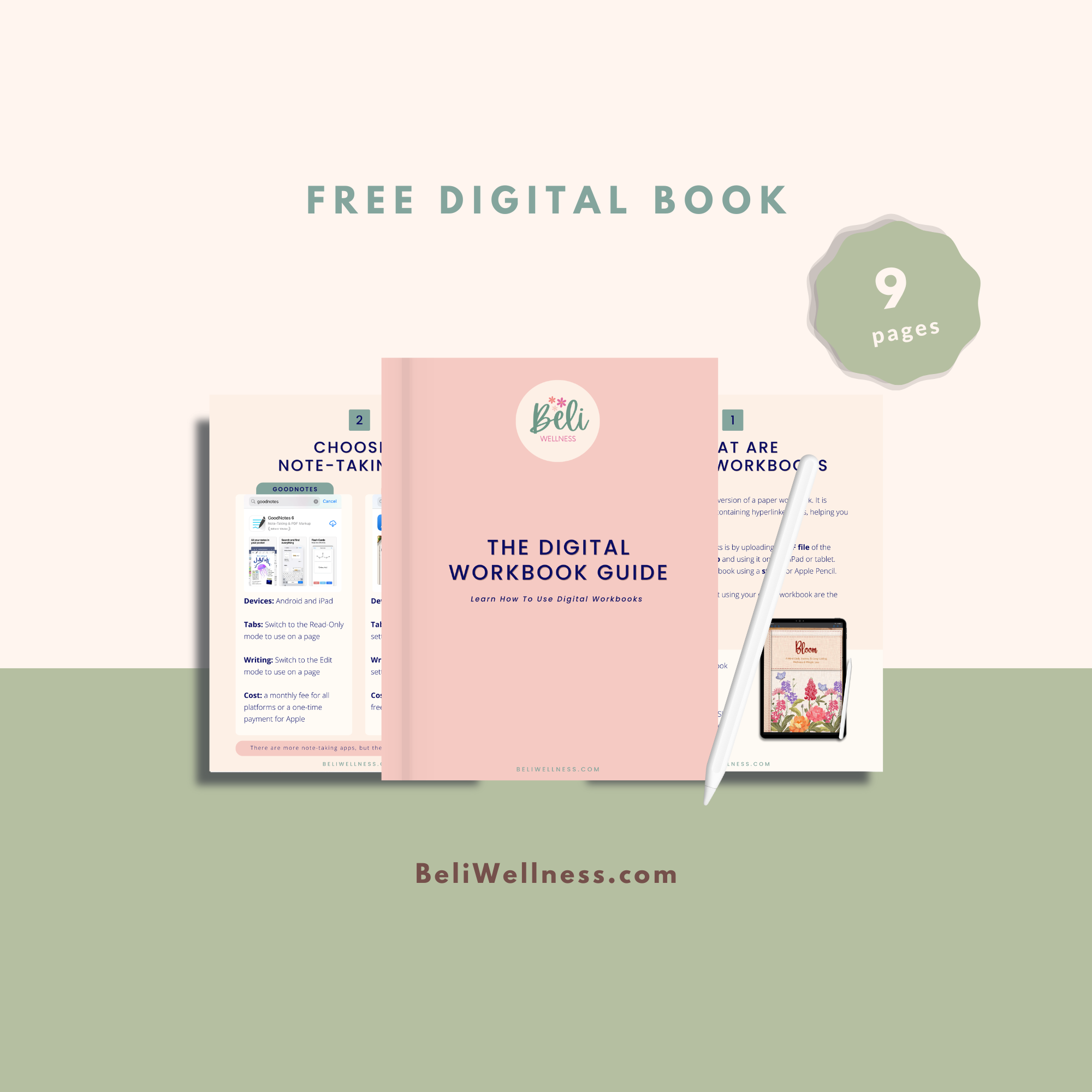 The Digital Workbook Guide- Pages Small.png