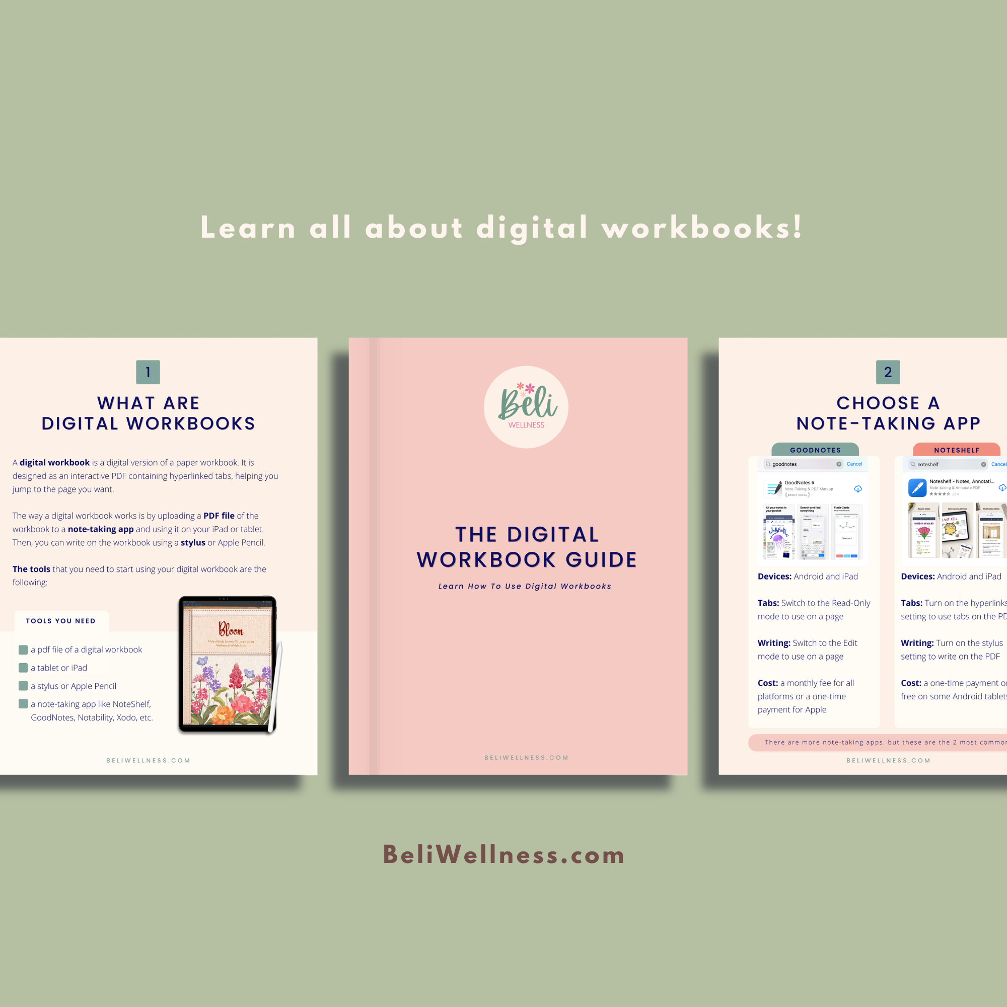 The Digital Workbook Guide- Graphics Small.png