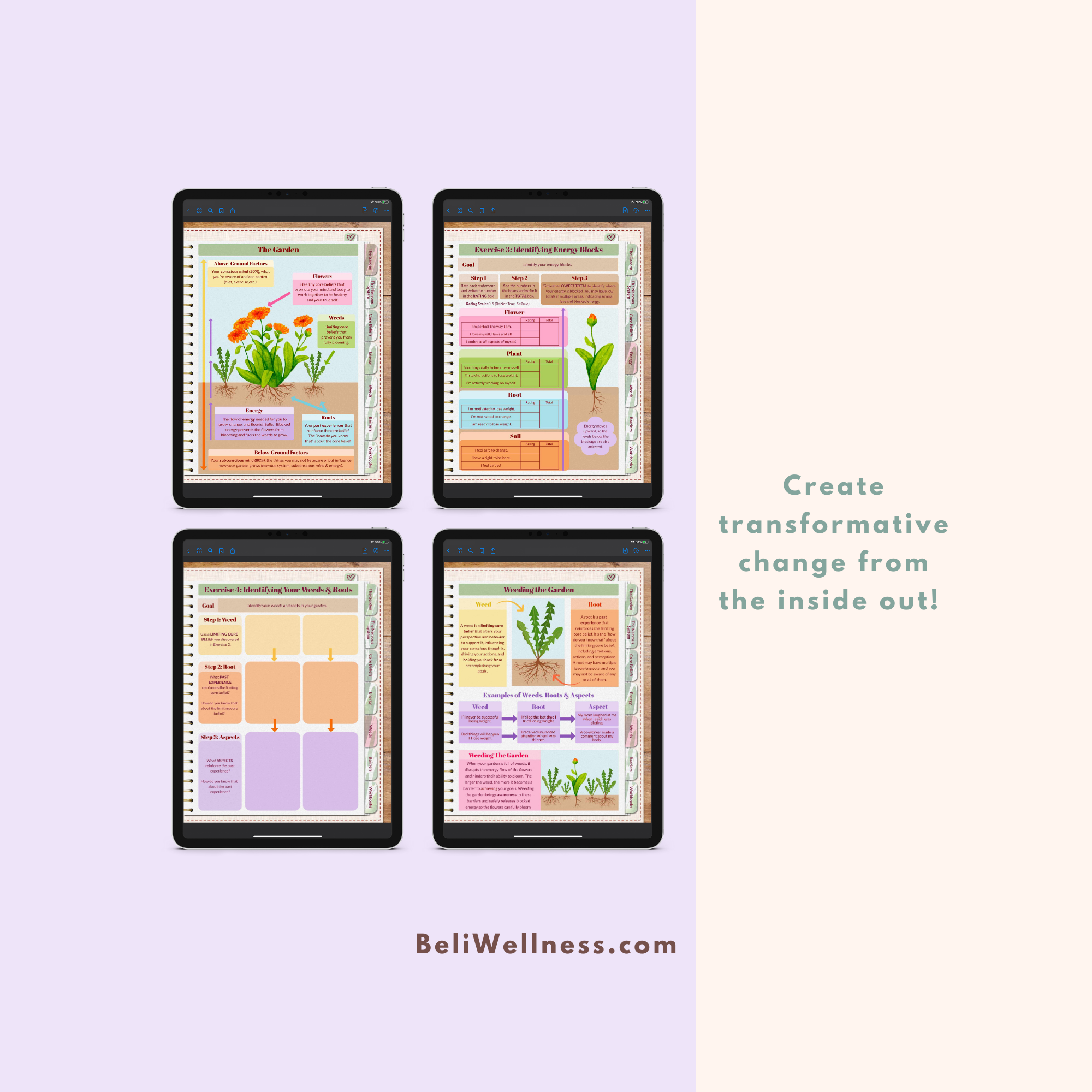The Garden- Transformative Small.png