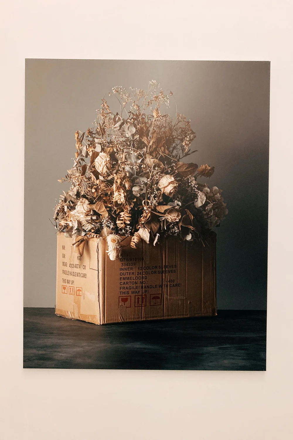 D5 : Cardboard box.JPG