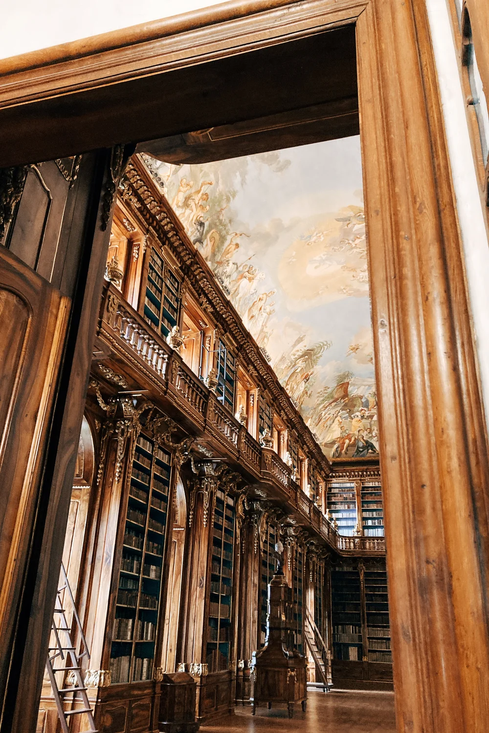 D2 : Library view.JPG