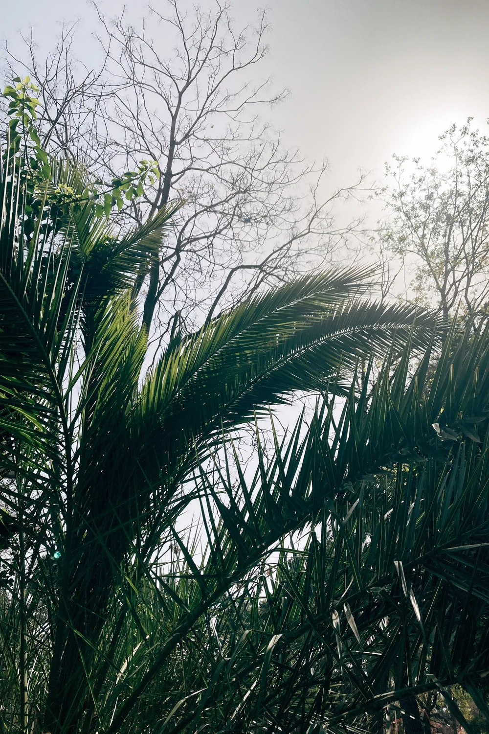 D3 Feels like summer.JPG