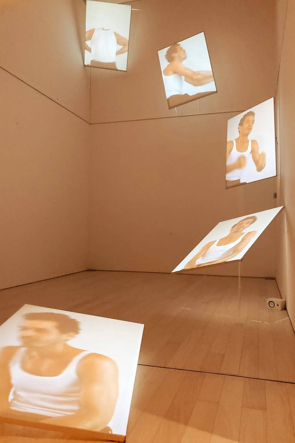 D5 Video installation.JPG