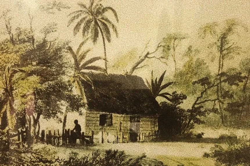 D6: Reflecting on the past