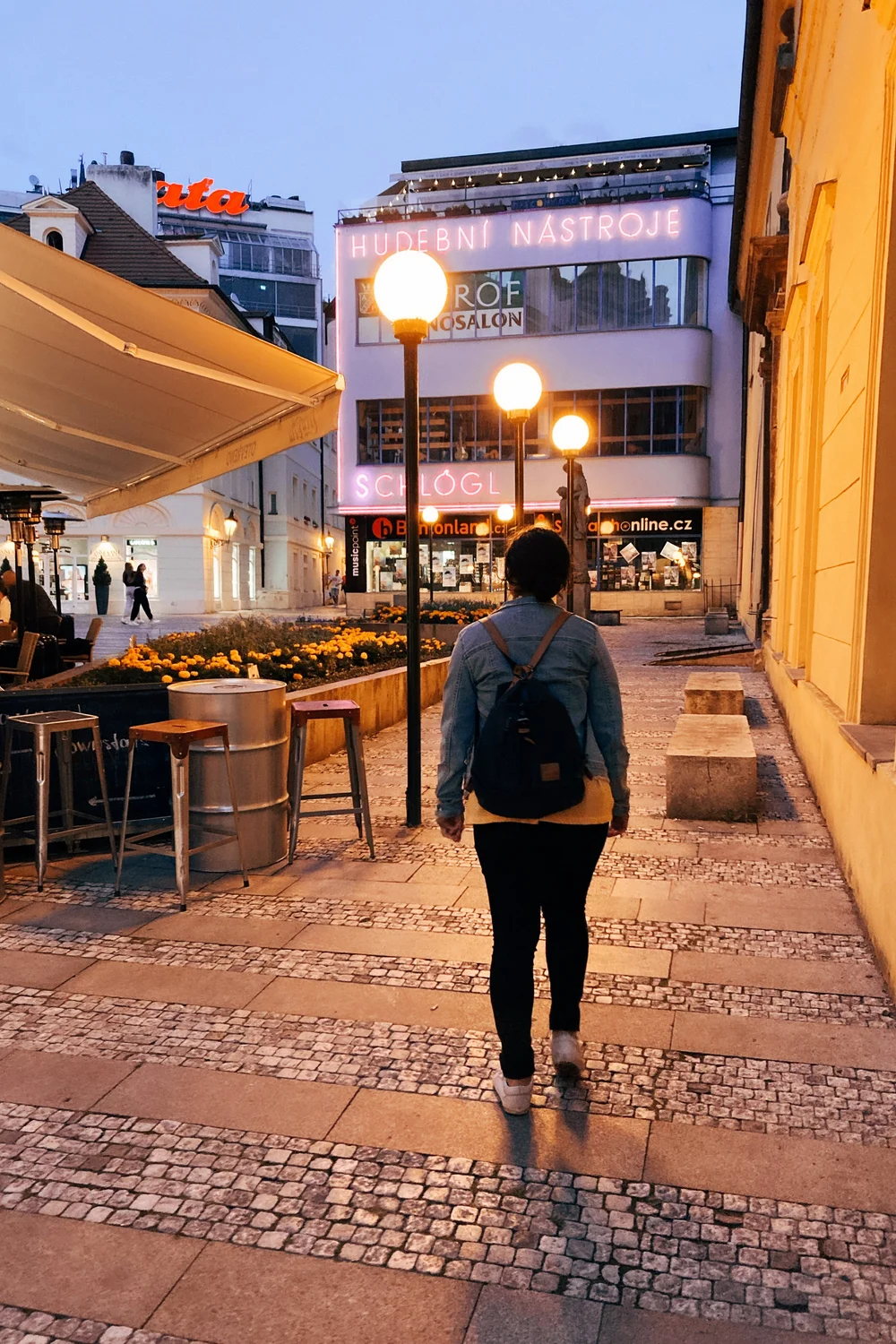 D3 : Evening walk.JPG