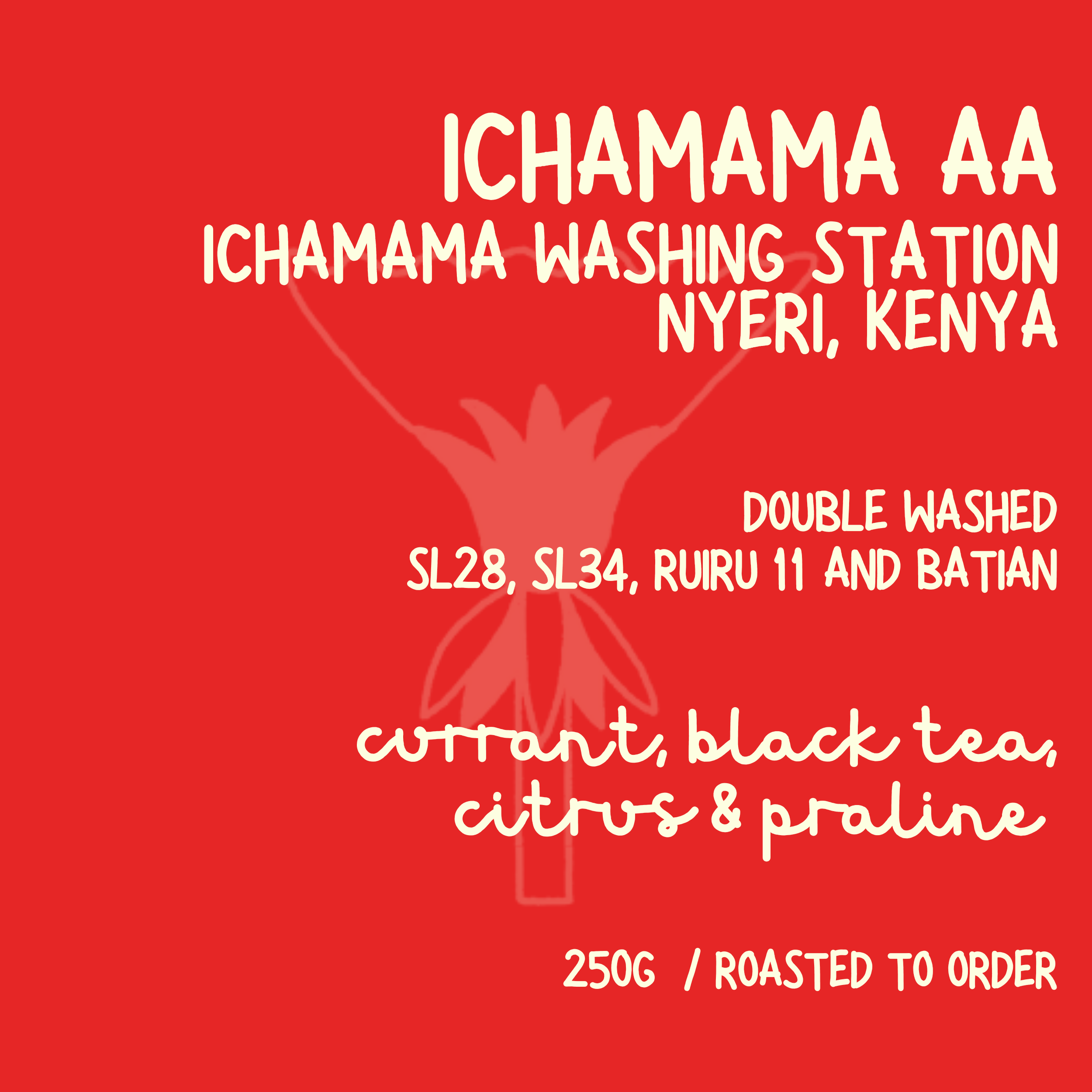 Ichamama AA.png