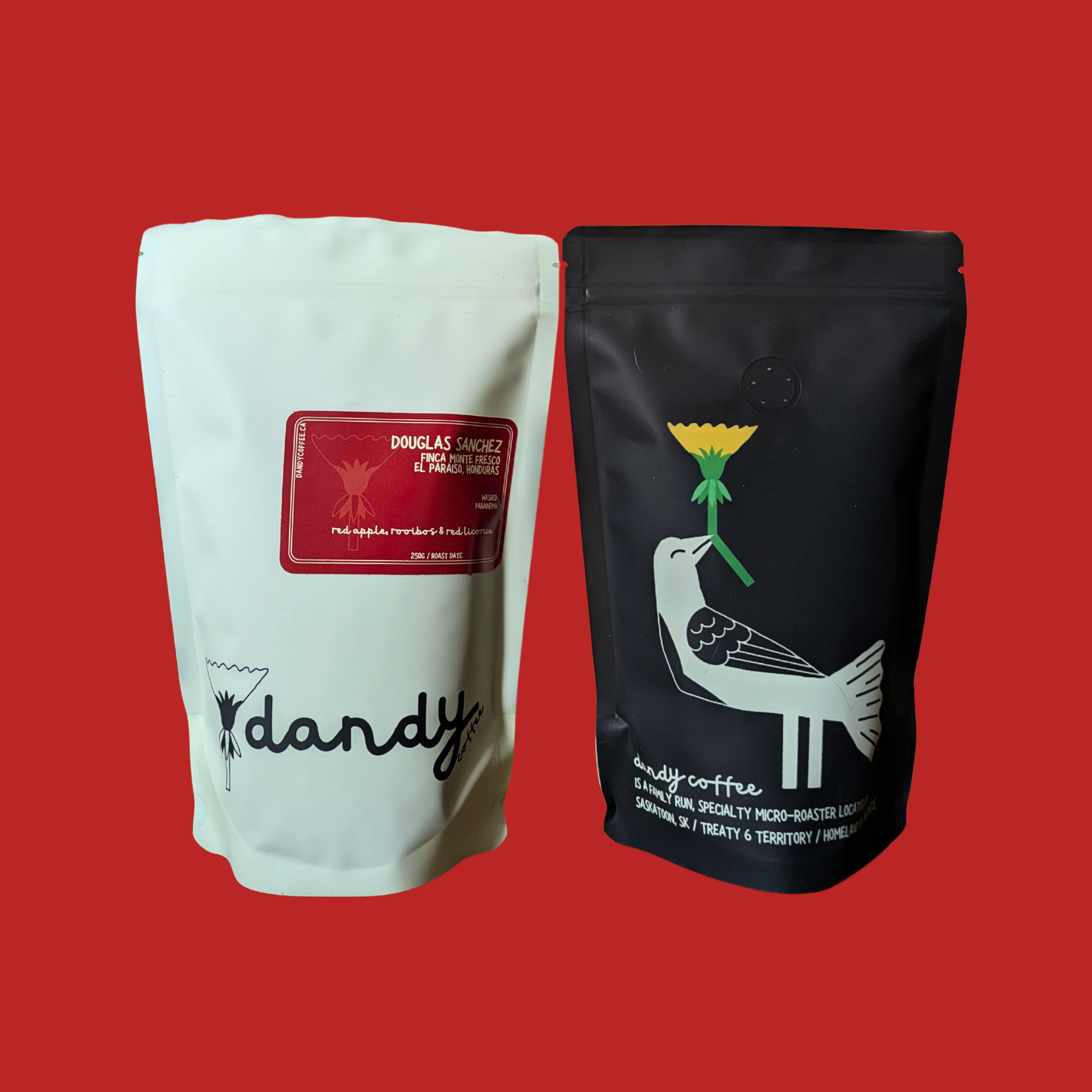 Coffee Pics_December 2024_SQUARESPACE (2).png