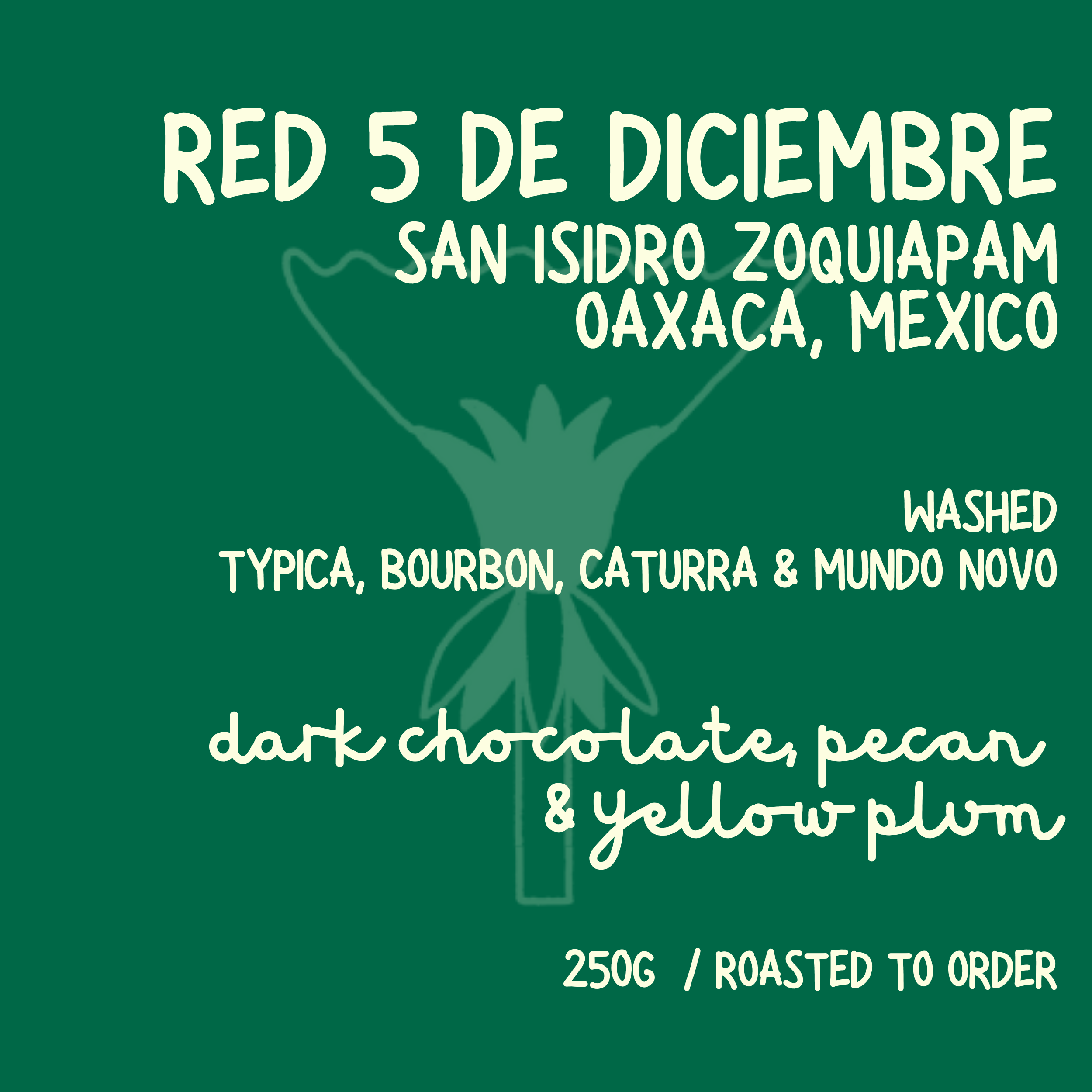 Red 5 De Diciembre // MEXICO