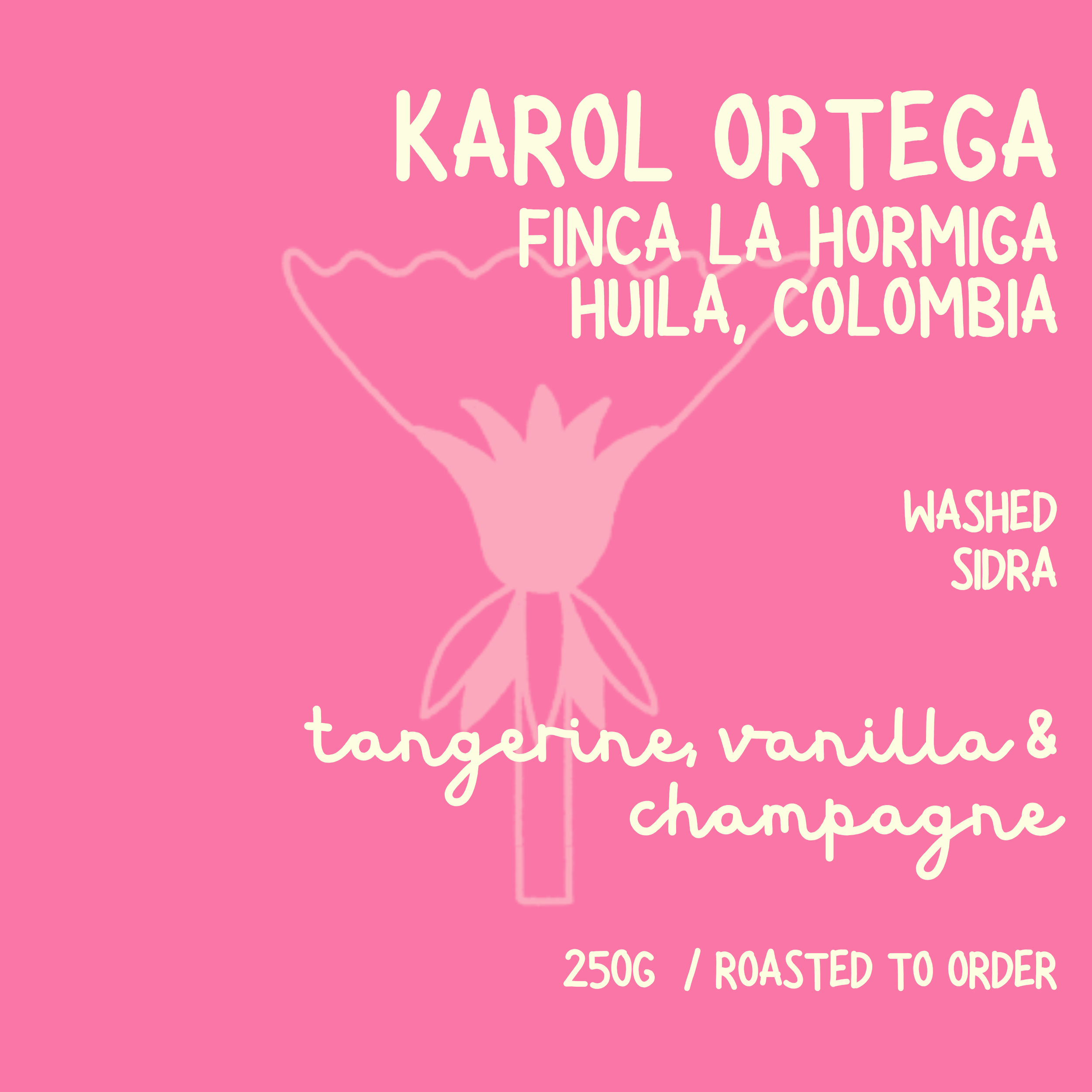 Karol Ortega // COLOMBIA