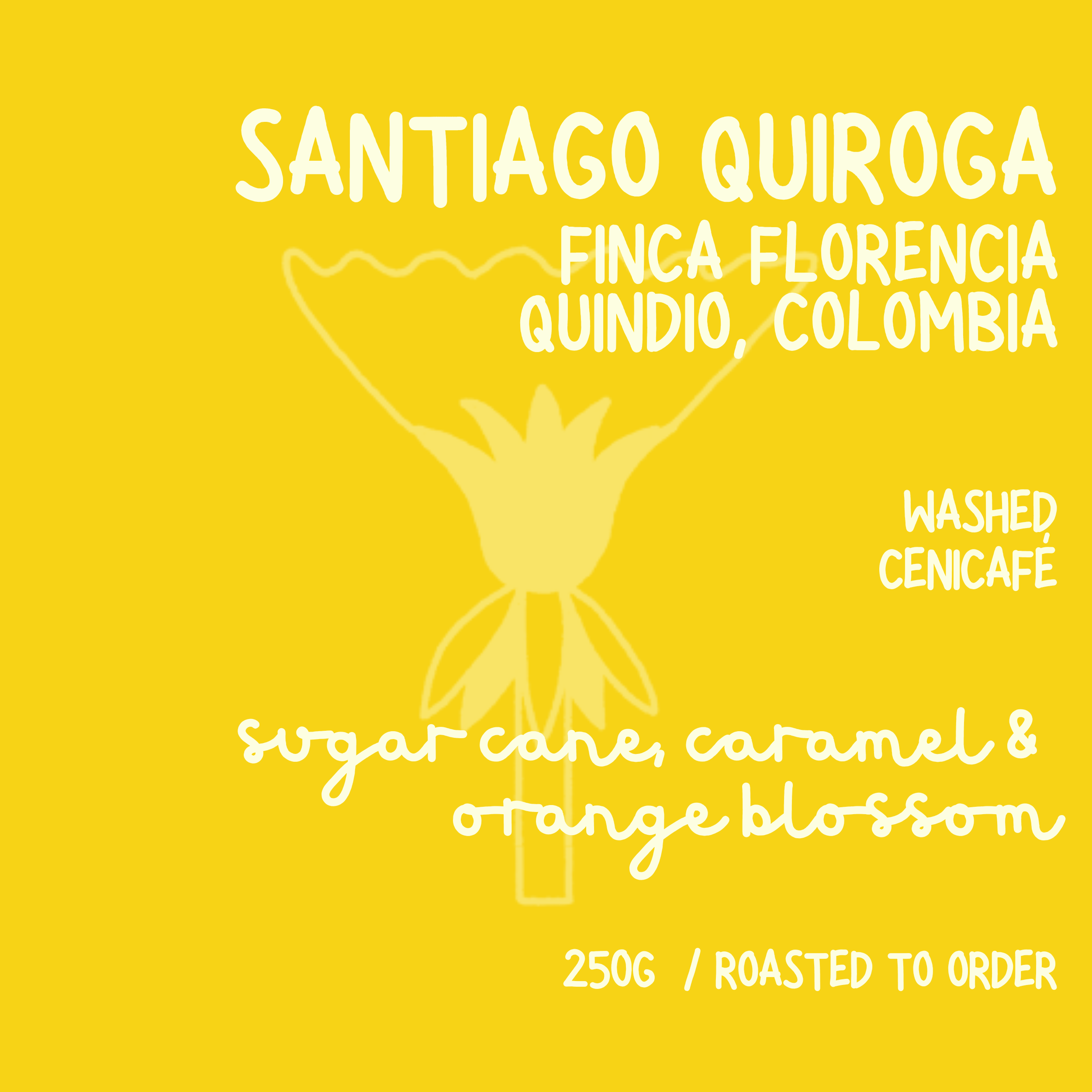 Santiago Quiroga // COLOMBIA