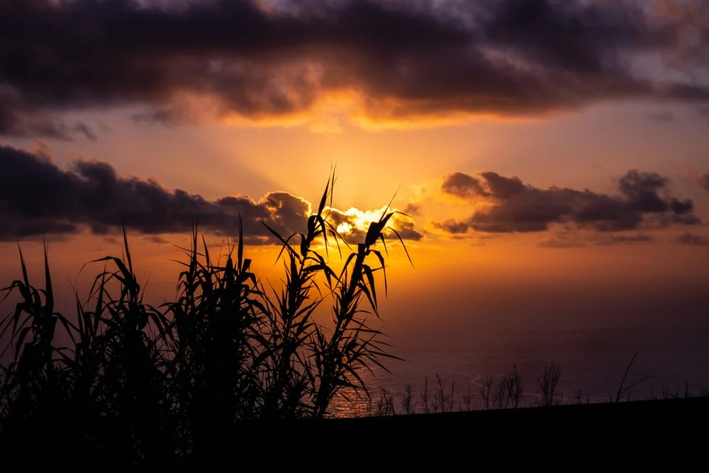 Madeira-2065.jpg