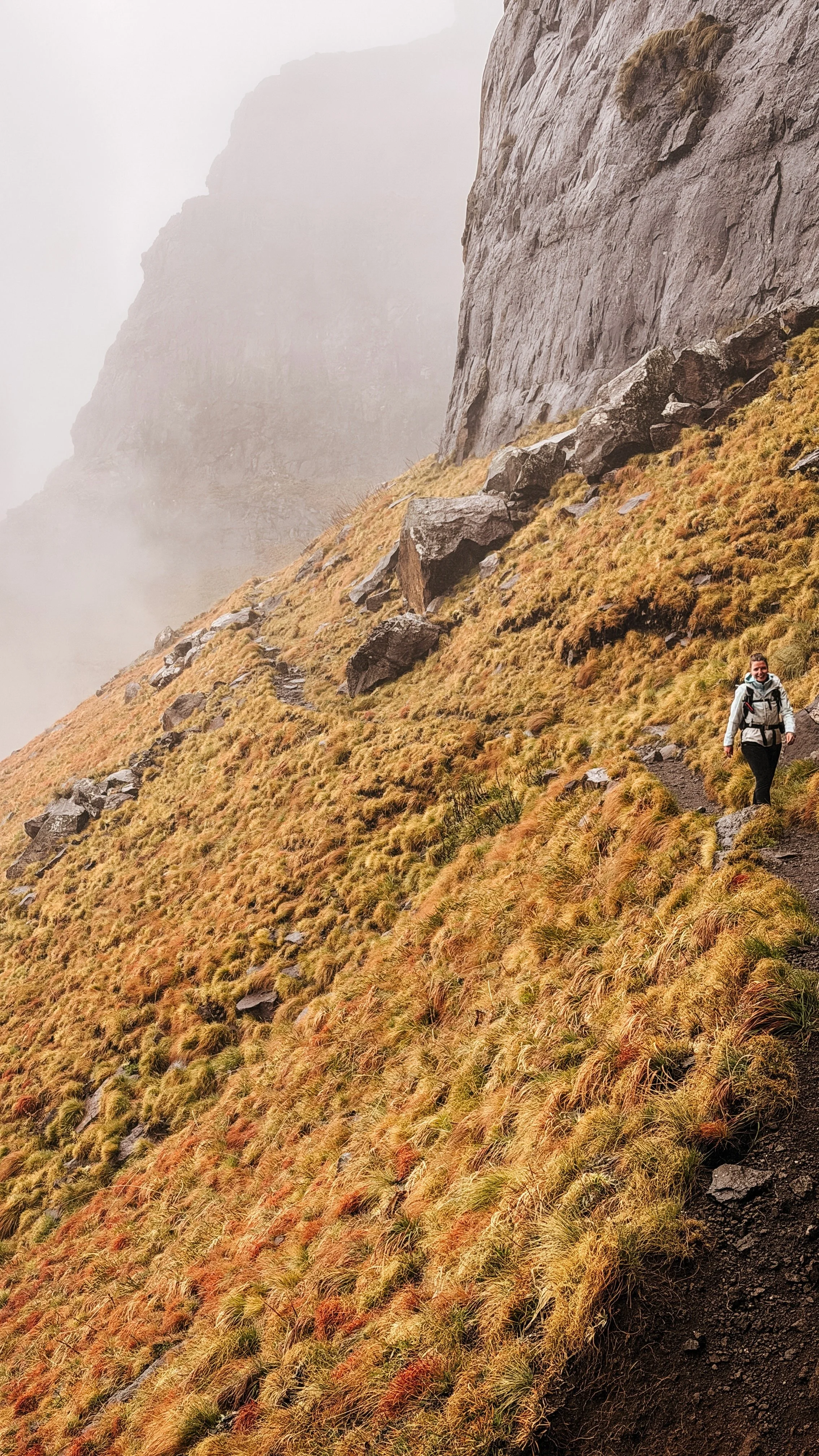 FullSizeRender (4).jpeg