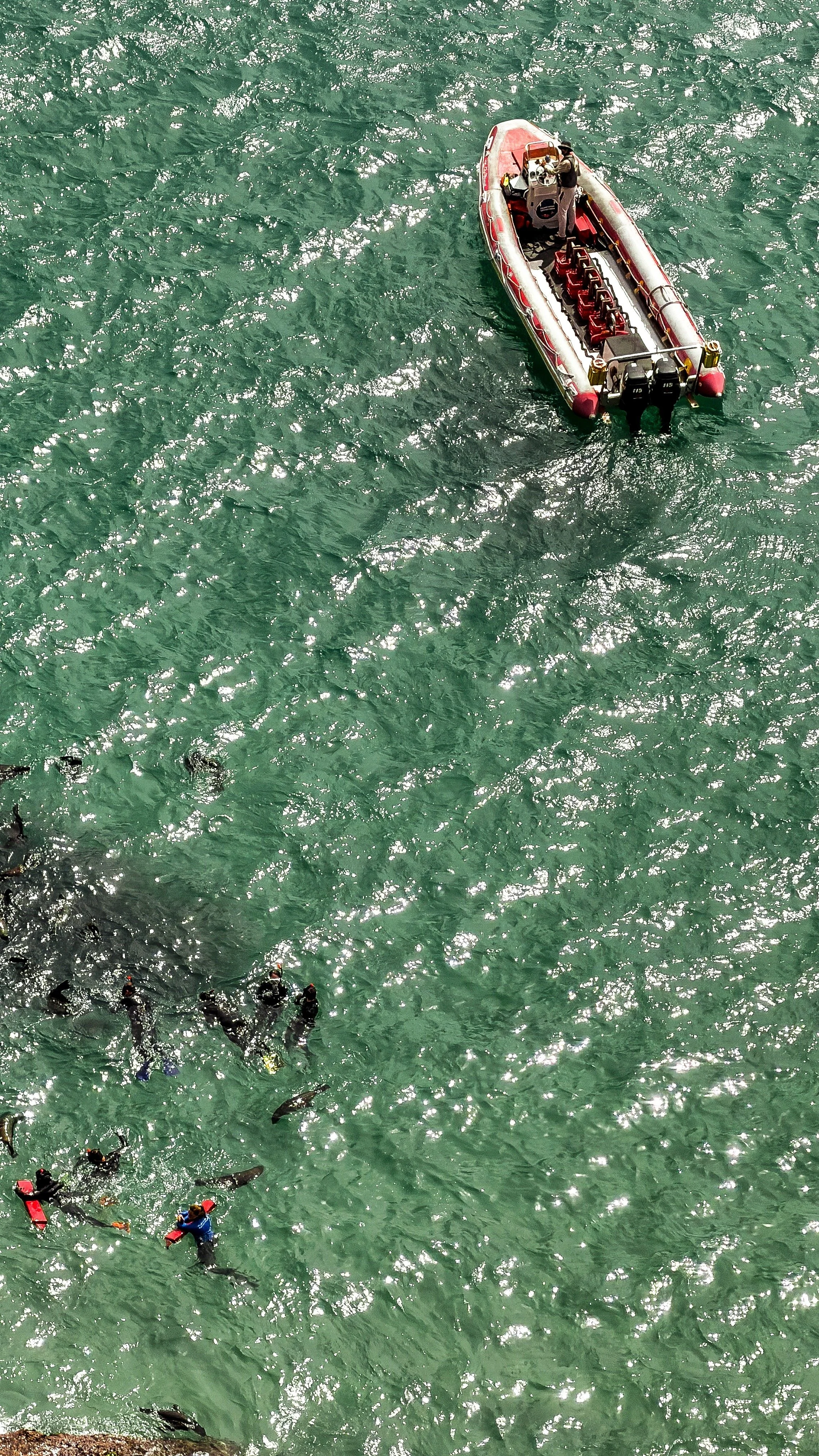 FullSizeRender (9).jpeg