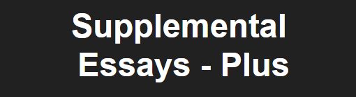 Plus - Supplemental Essays