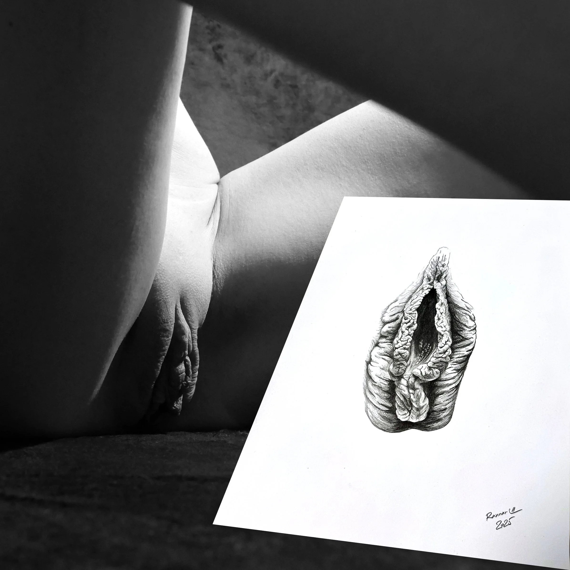 Pliiatsijoonistus ja fotosessioon (50 fotoga)