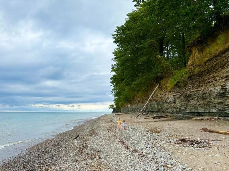 Something Shifted this Summer