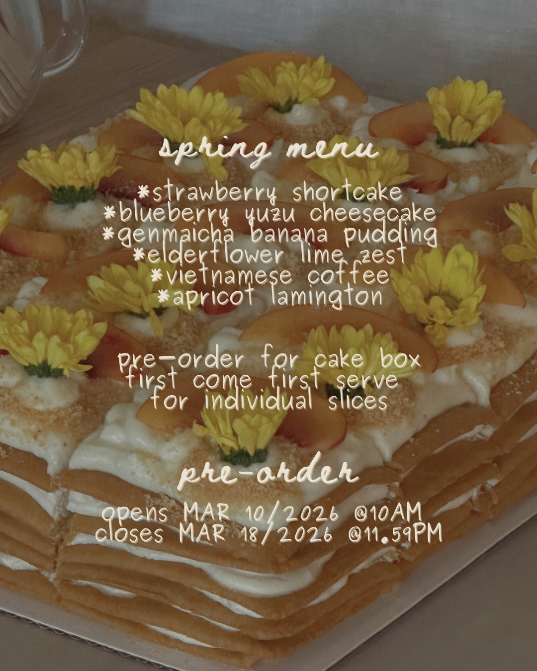 Now It Springs Forth Cake Pop Up - Assorted Cake Box of Six