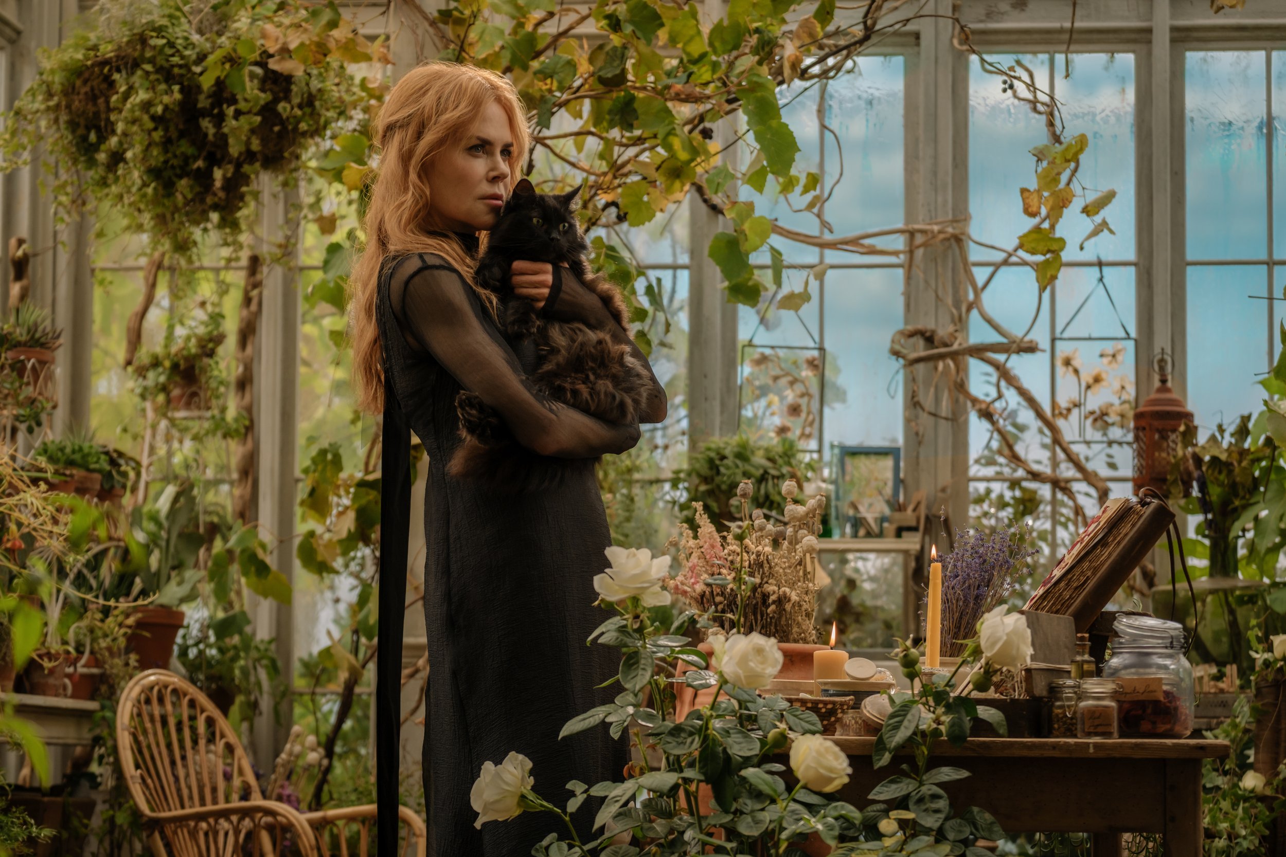 Practical Magic 2 | 2026