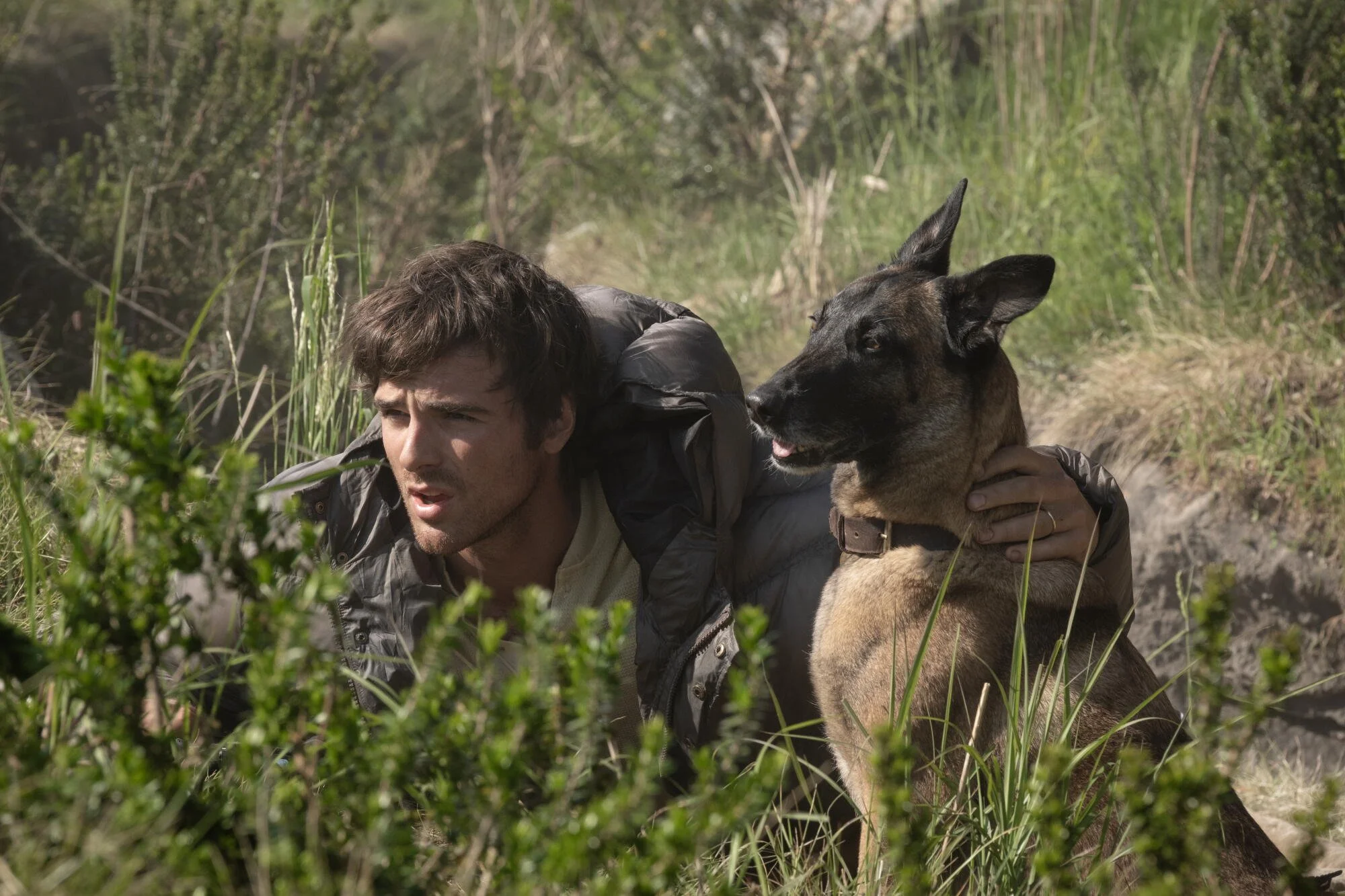 The Dog Stars | 2026