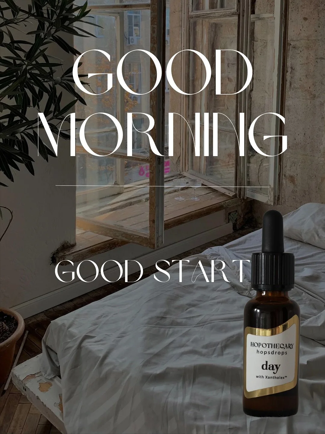 Good morning, every morning. Start your day with @hopothecaryhopsdrops DAY formula. 
A unique scientific formula containing XANTHOLEX&trade;

Aids in the prevention of:
Inflammation 
Metabolic syndrome
Boosts immune system
Promotes a healthy gut
Help